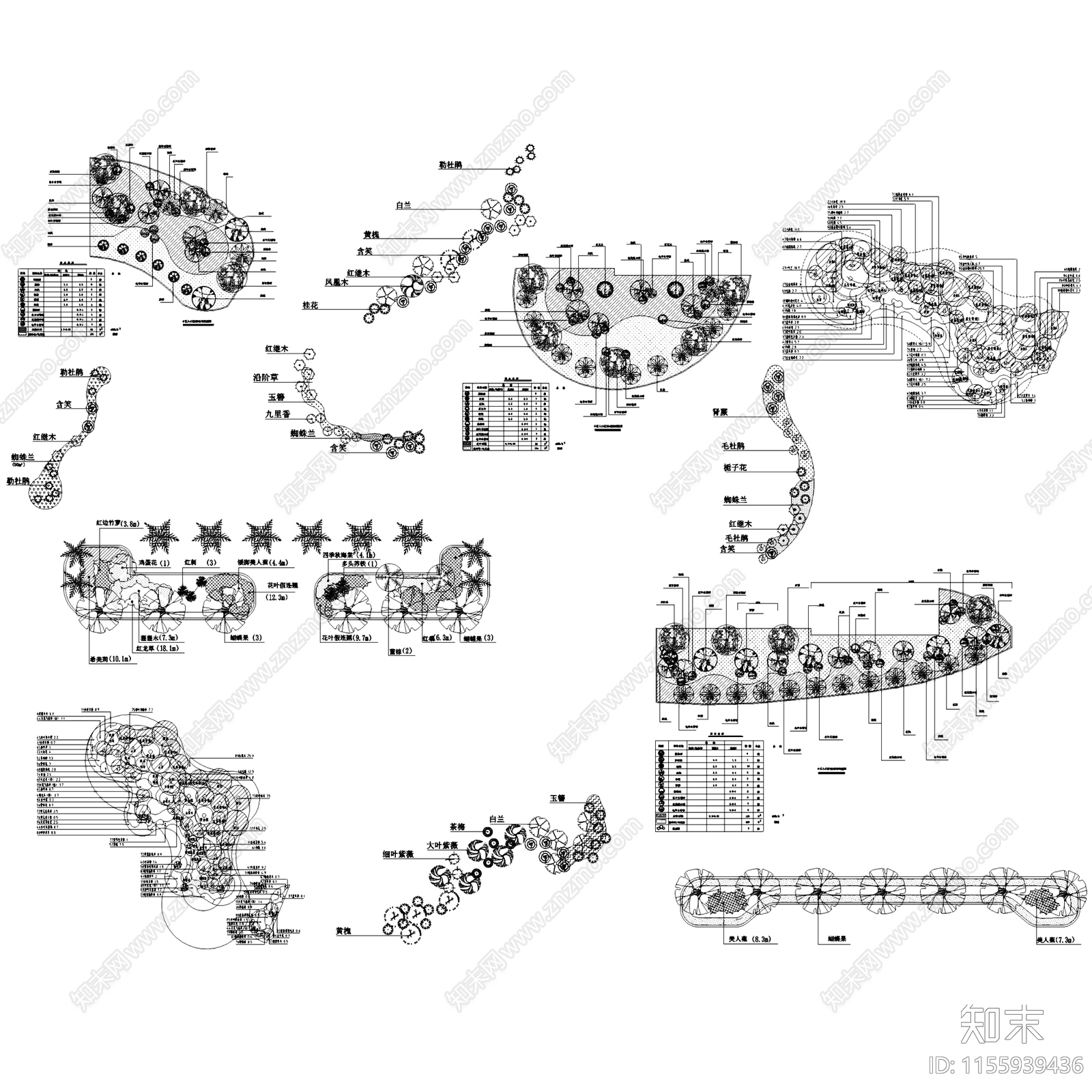 园林景观植物组团配置平面CA施工图下载【ID:1155939436】