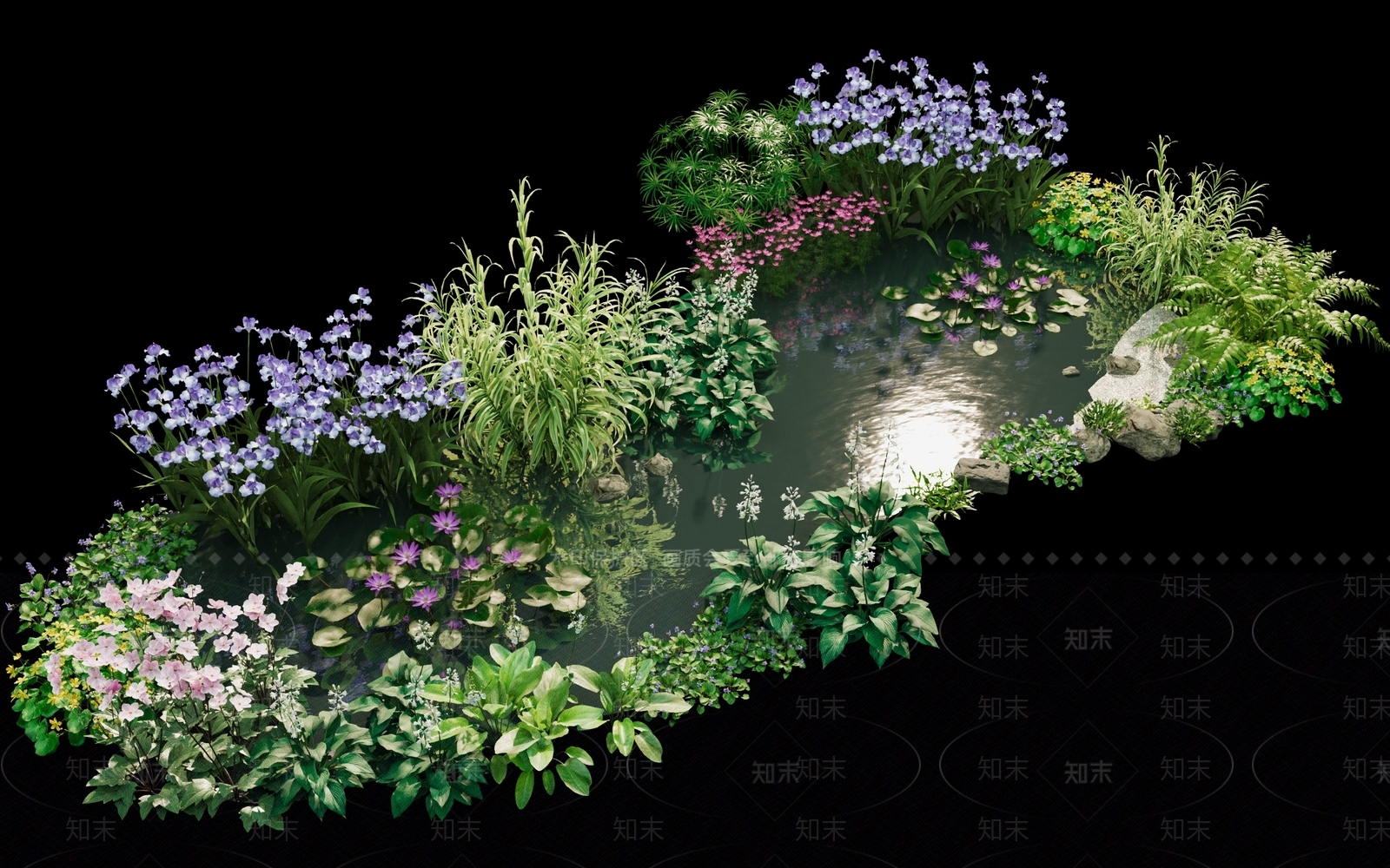 水生植物SU模型下载【ID:1155948799】