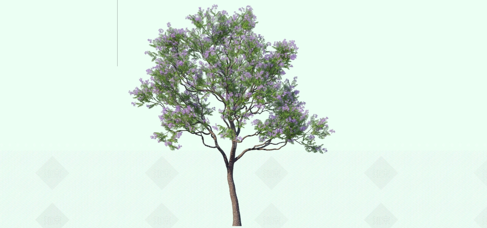 2D蓝花楹SU模型下载【ID:1155955079】