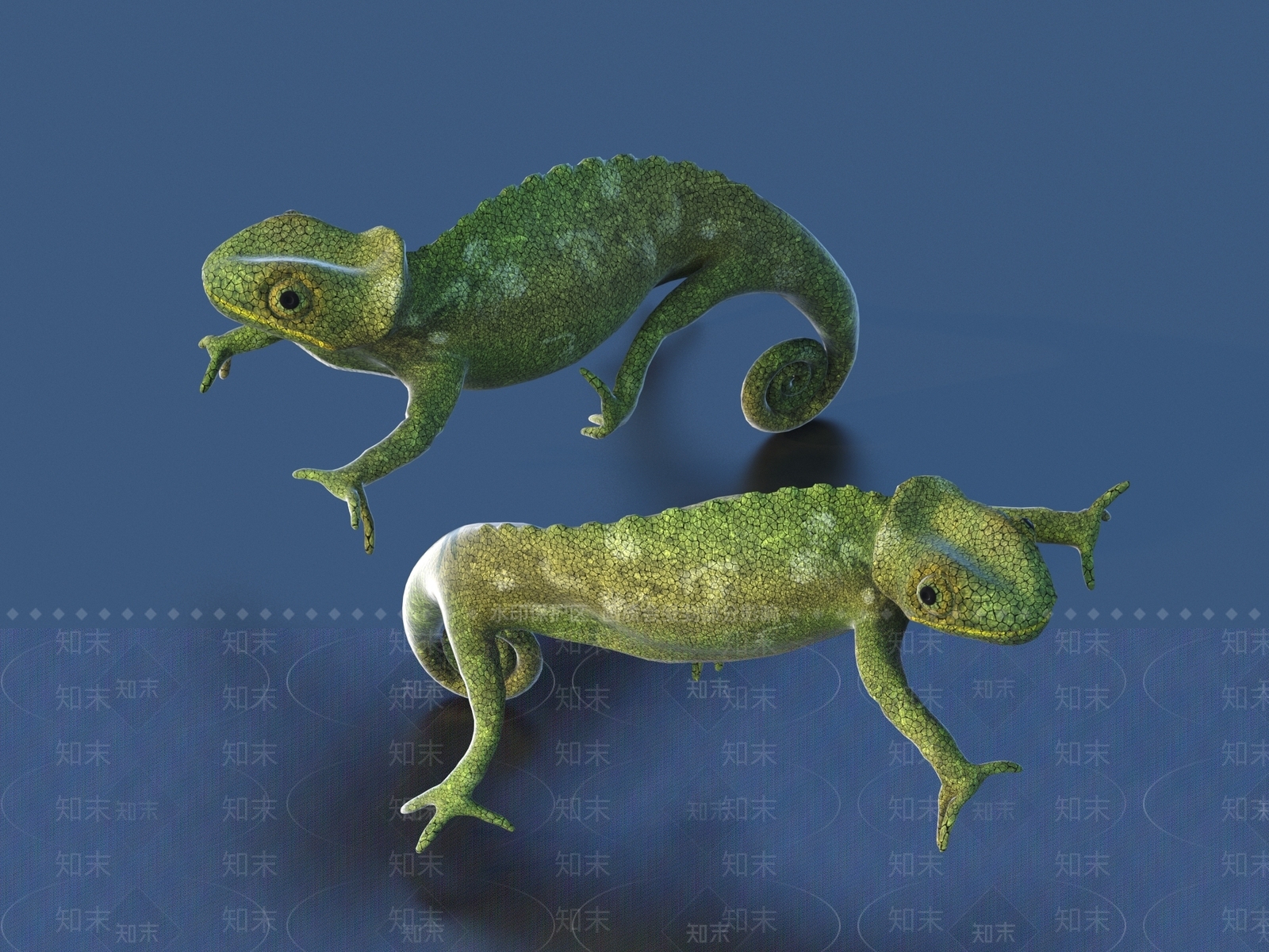 蜥蜴3D模型下载【ID:1155955467】