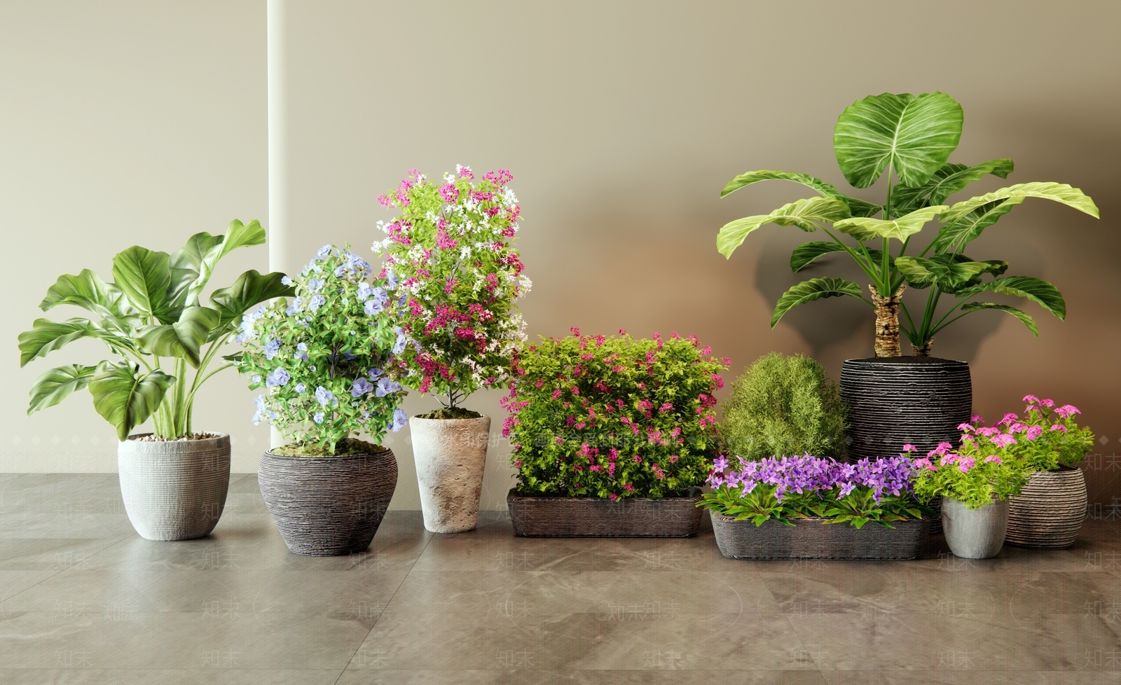 花卉盆栽3D模型下载【ID:1155965548】