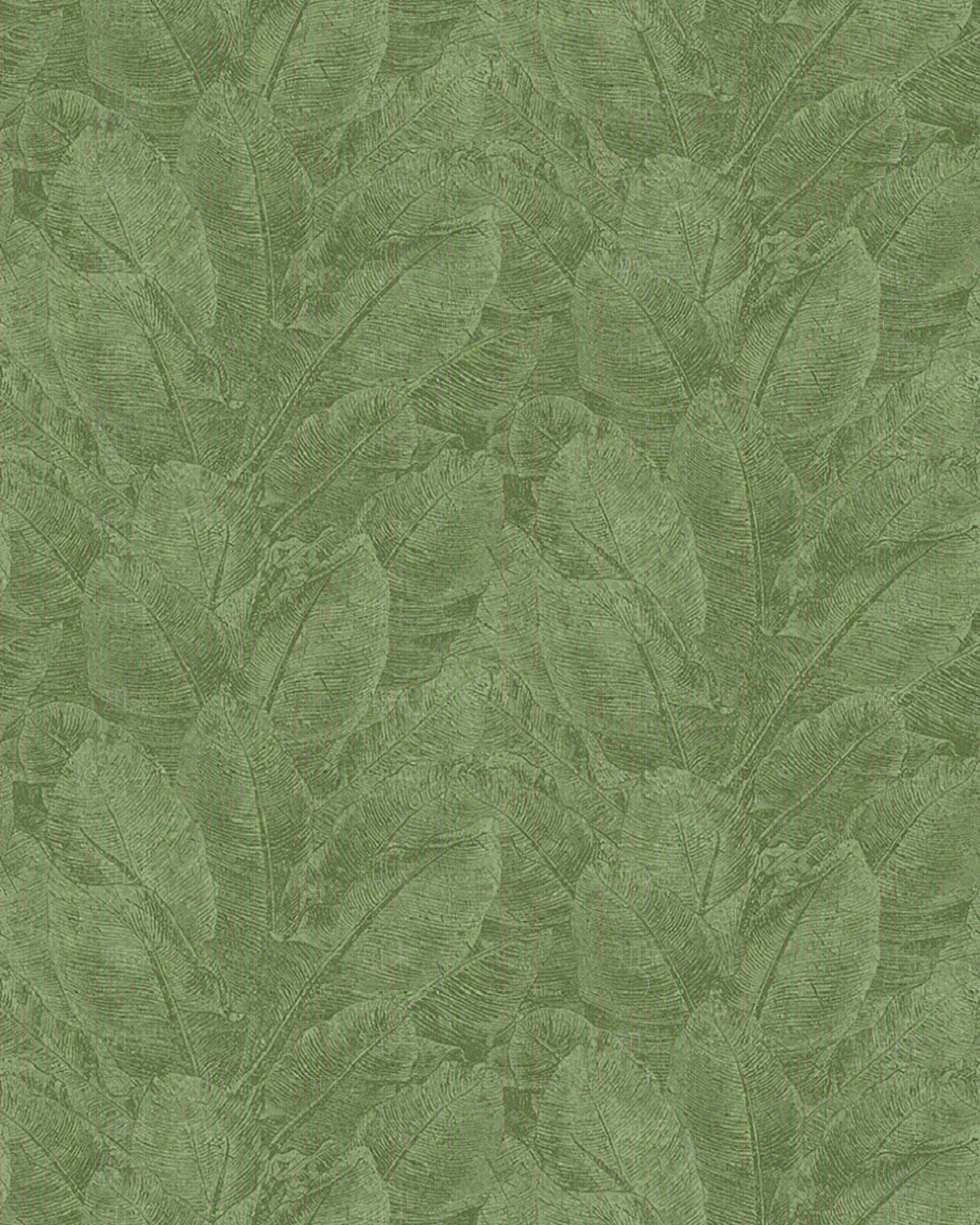 绿色热带叶子壁纸贴图下载【ID:1155988538】