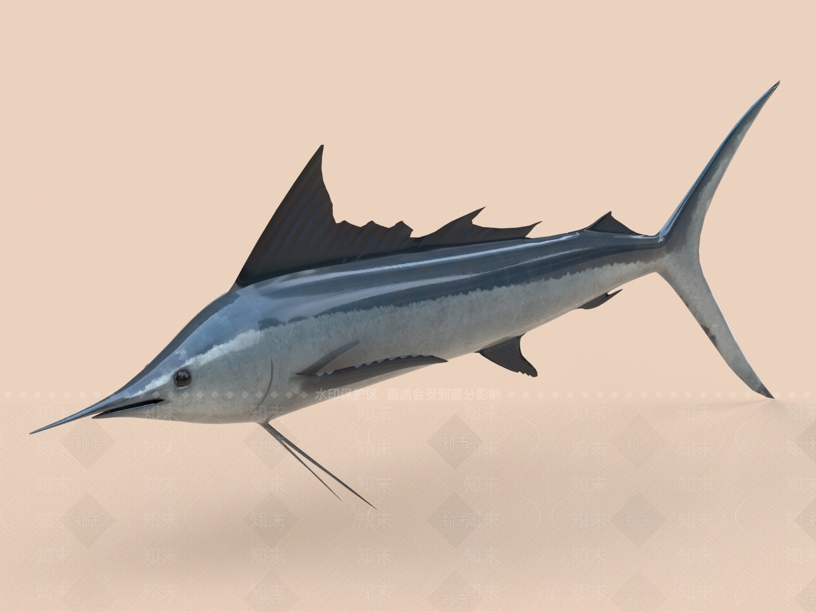 剑鱼3D模型下载【ID:1156011880】