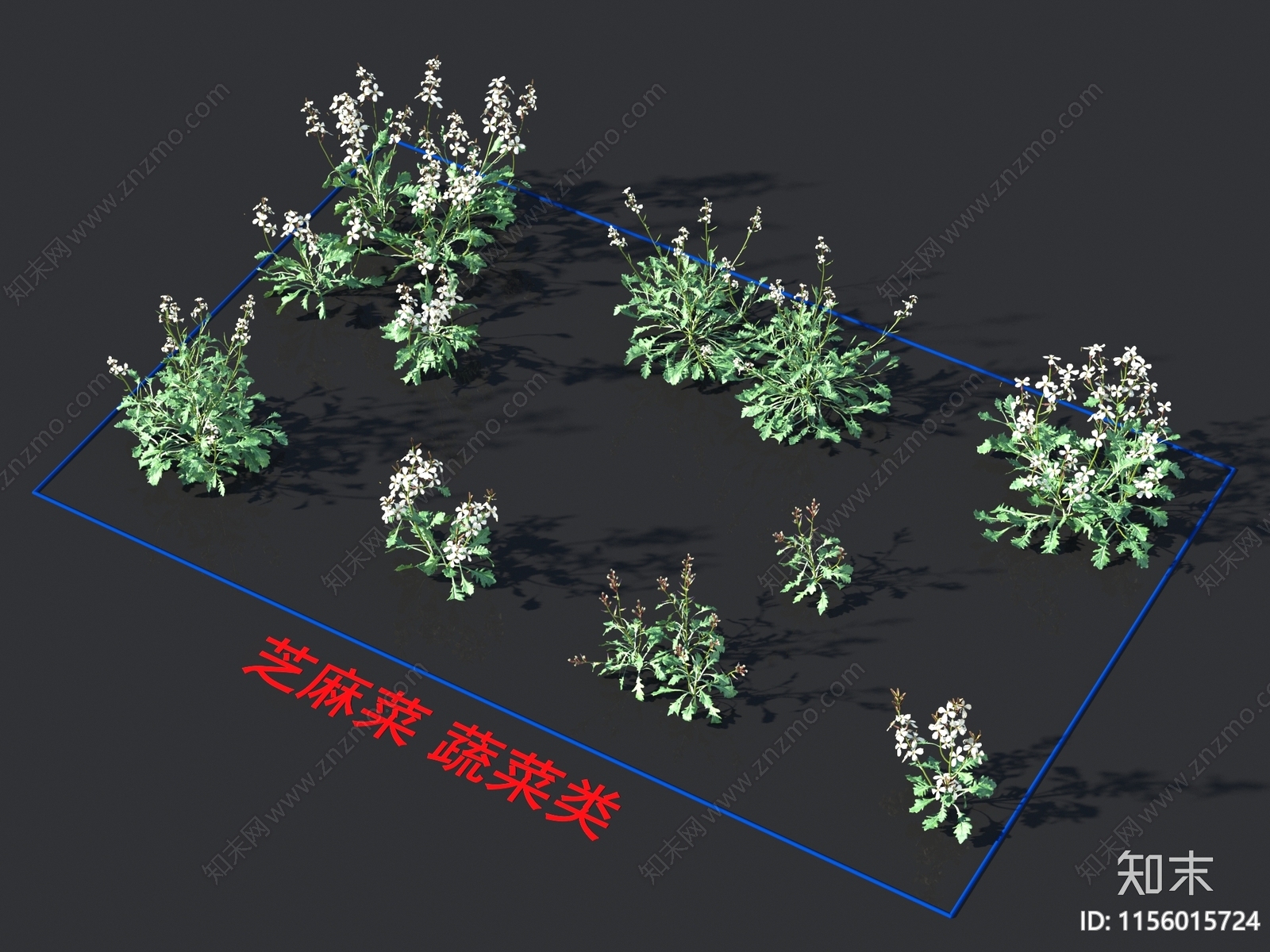 芝麻菜3D模型下载【ID:1156015724】