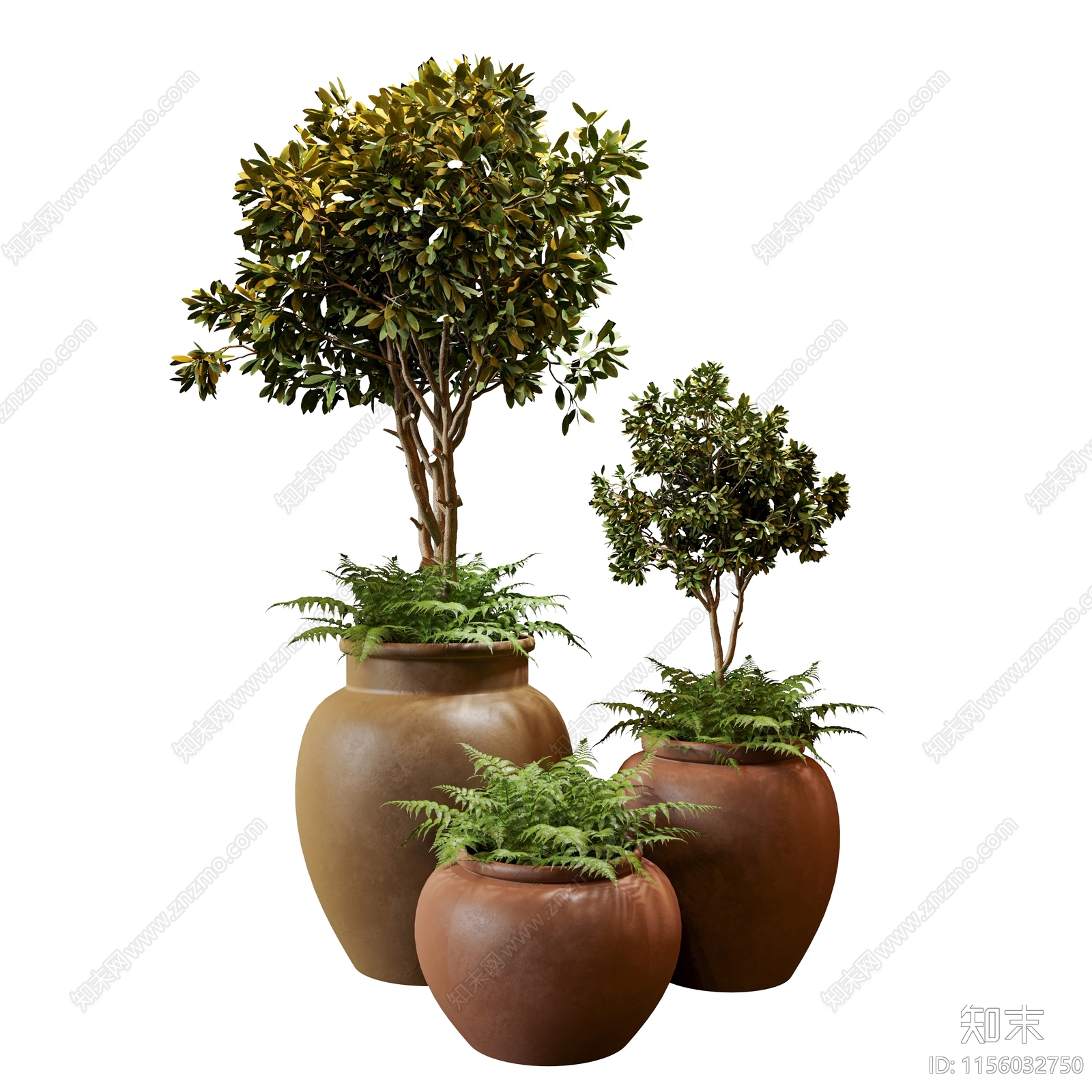 现代植物盆栽绿植3D模型下载【ID:1156032750】