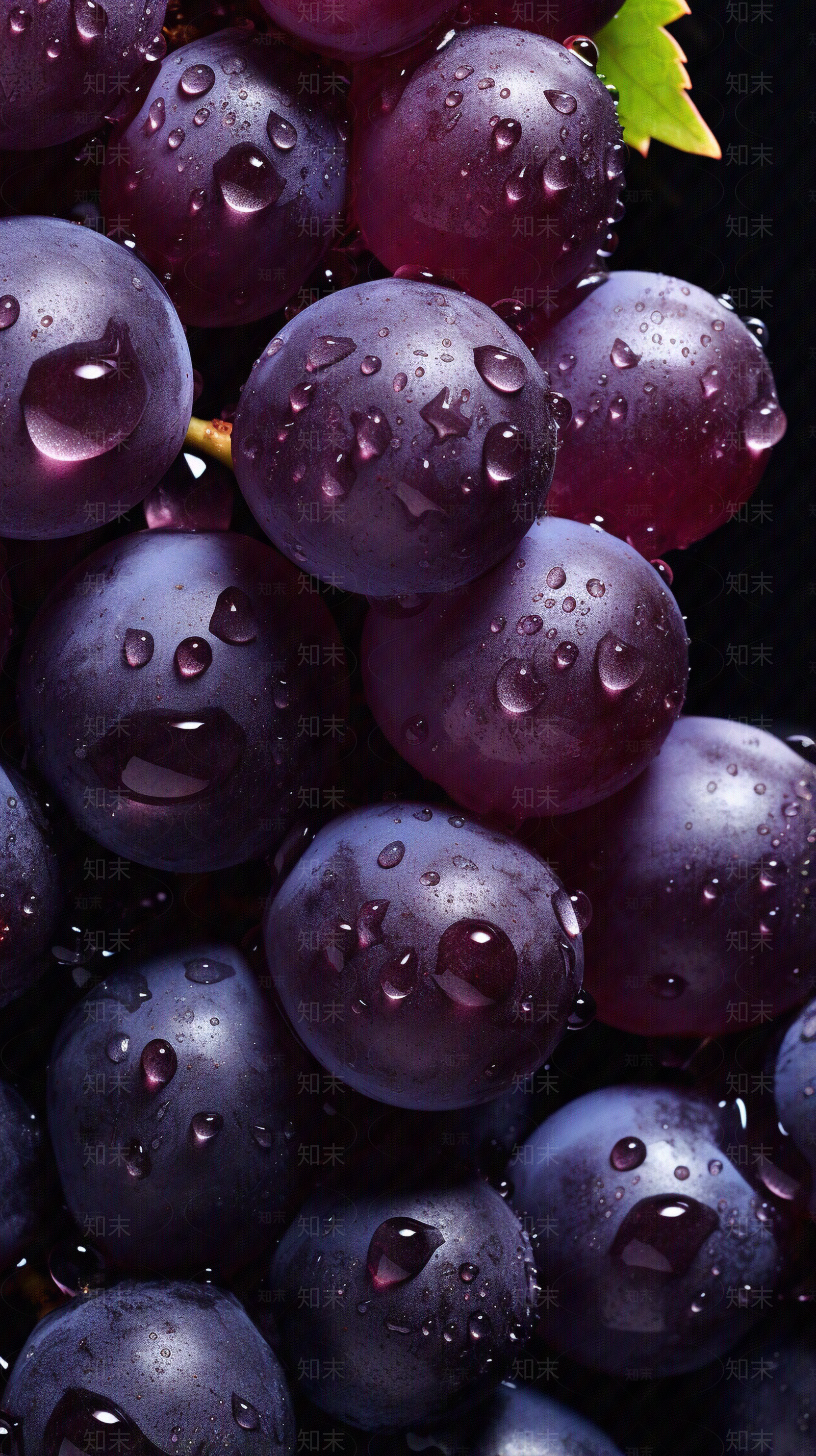 美味水果海报葡萄贴图下载【ID:1156066011】