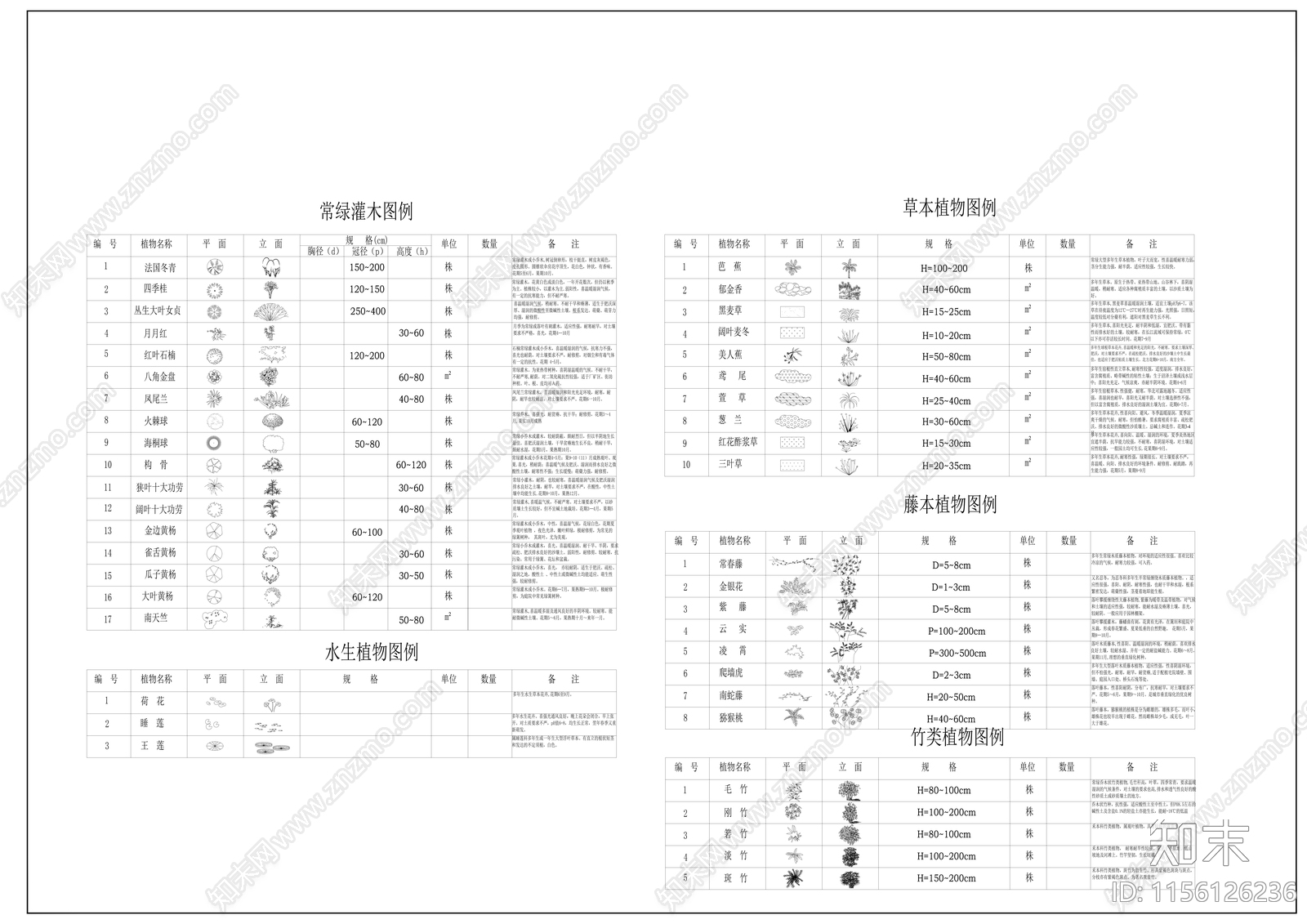 园林常见植物品种图例及说明施工图下载【ID:1156126236】