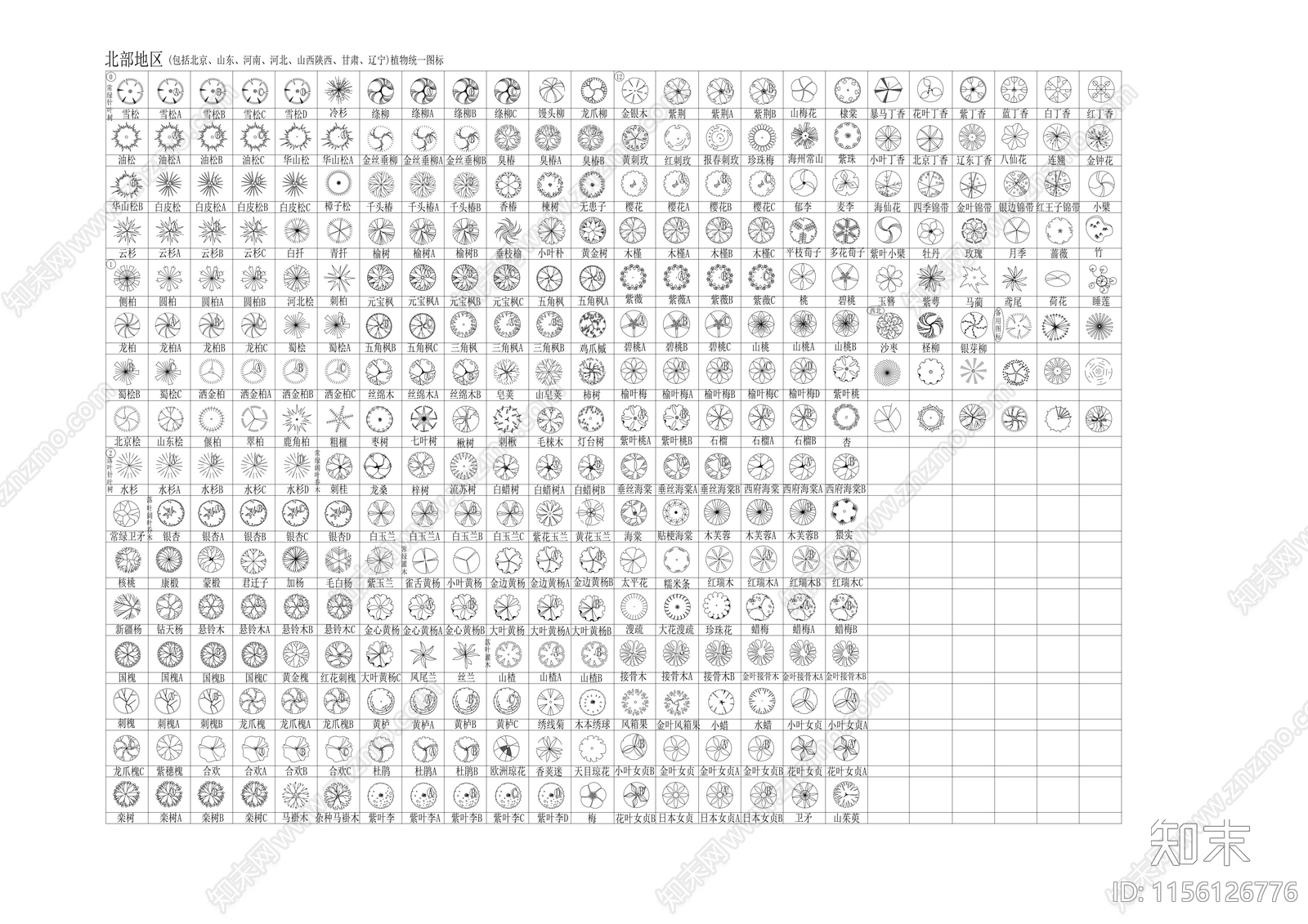 北部植物平面图块施工图下载【ID:1156126776】