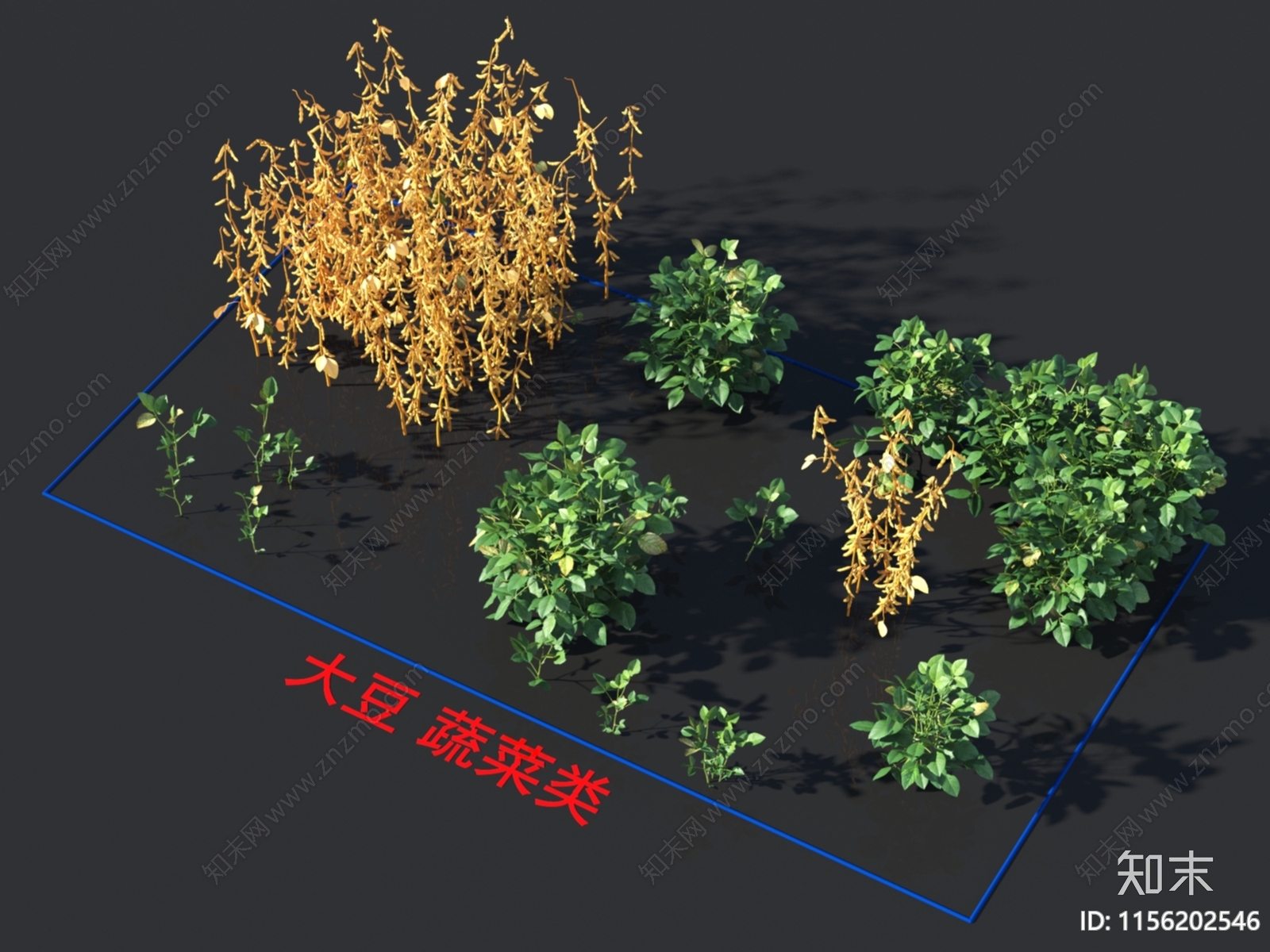 大豆3D模型下载【ID:1156202546】