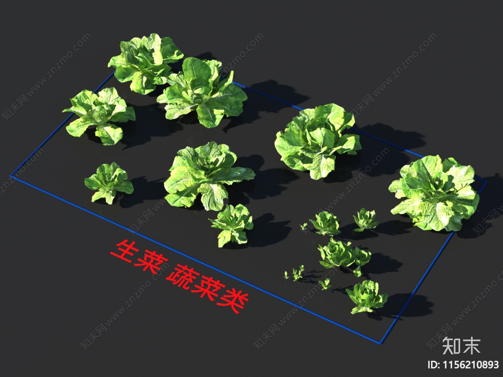 生菜3D模型下载【ID:1156210893】