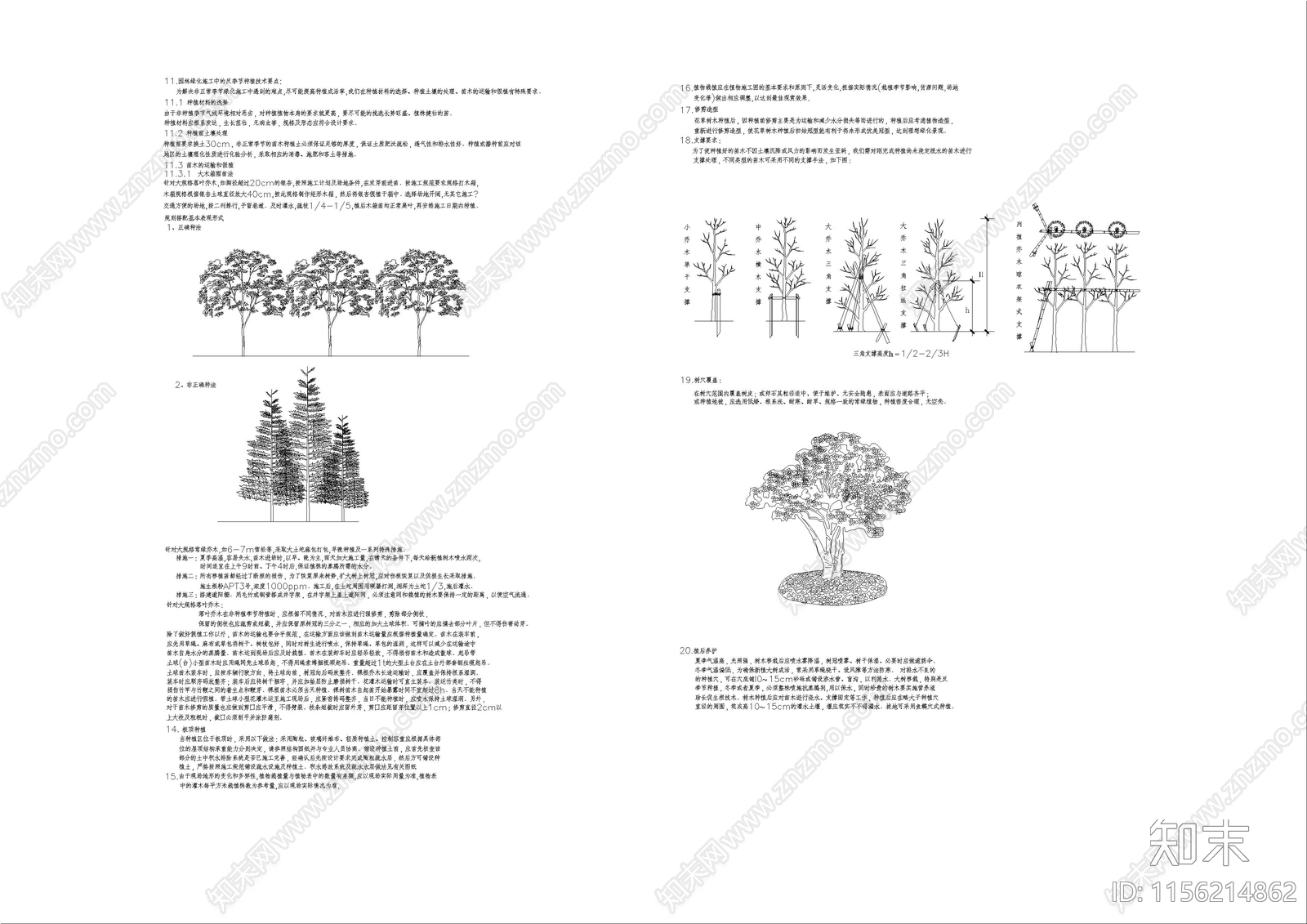 景观植物种植绿化说明施工图下载【ID:1156214862】