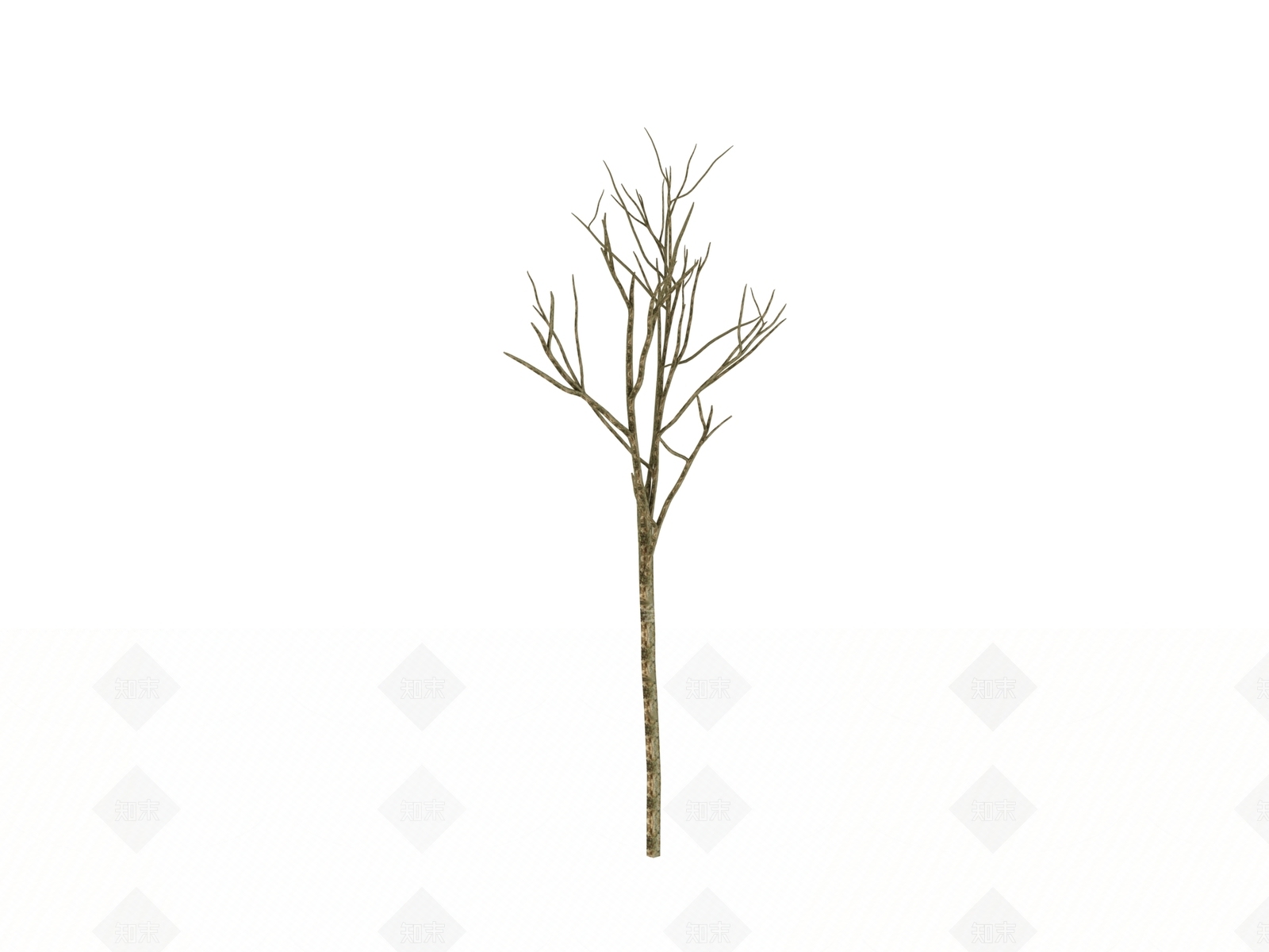 乔木3D模型下载【ID:1156258072】