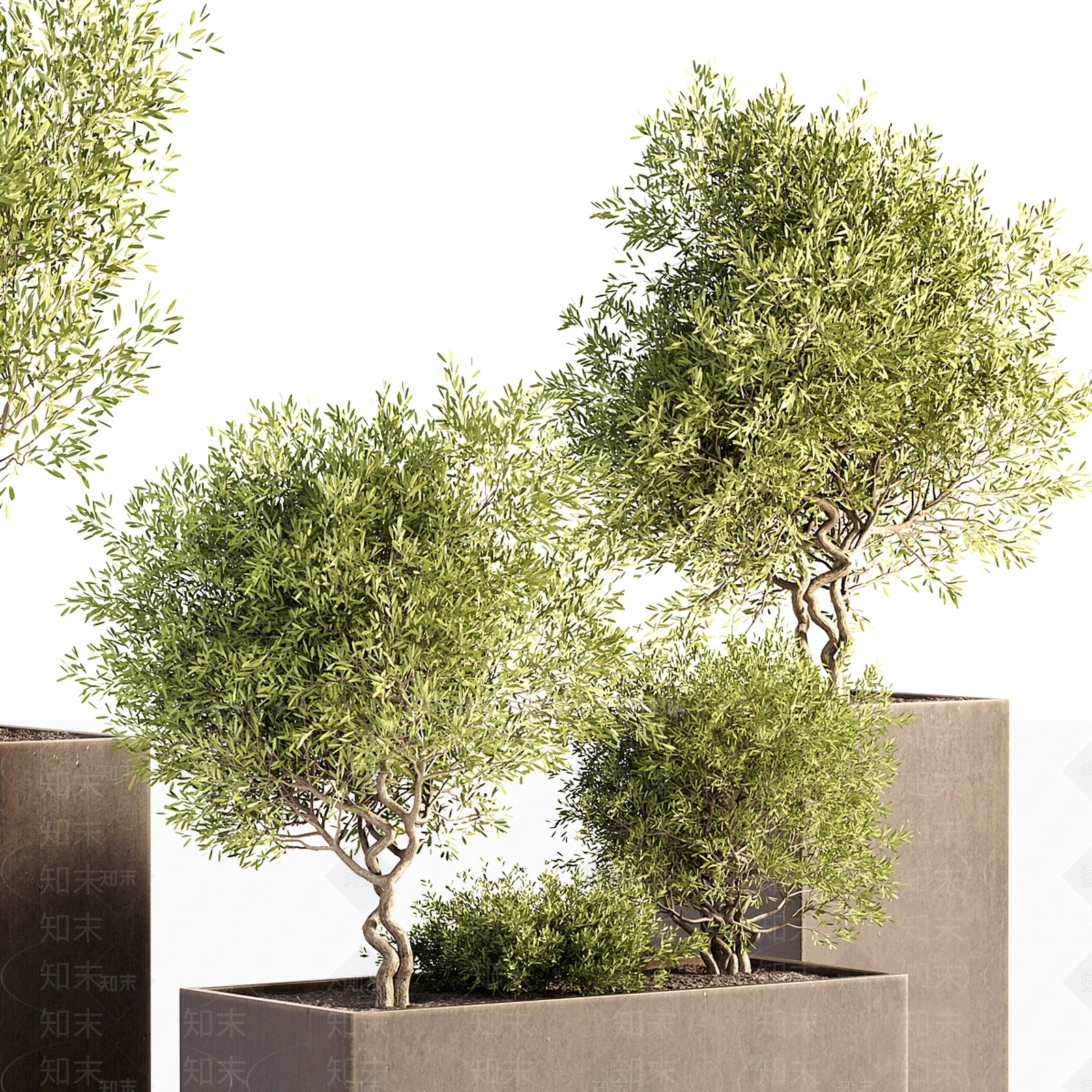 现代户外花箱3D模型下载【ID:1156290644】