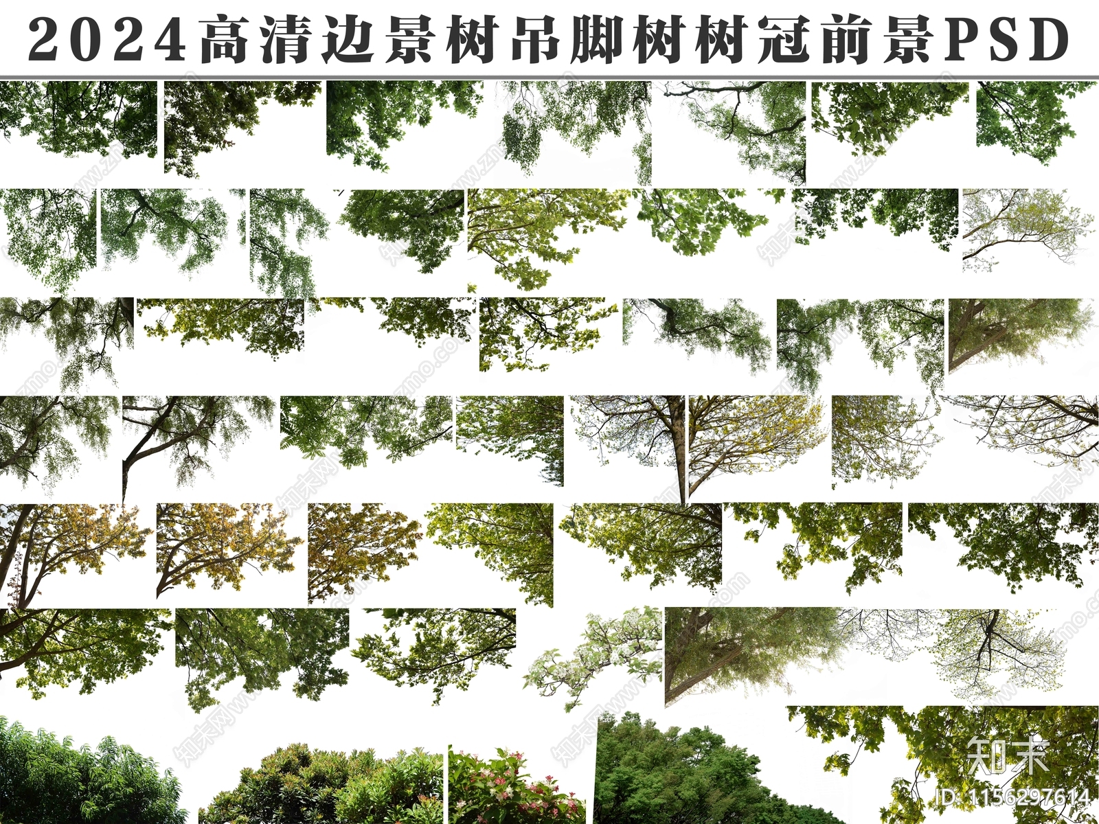 前景树设计素材精品下载_知末网