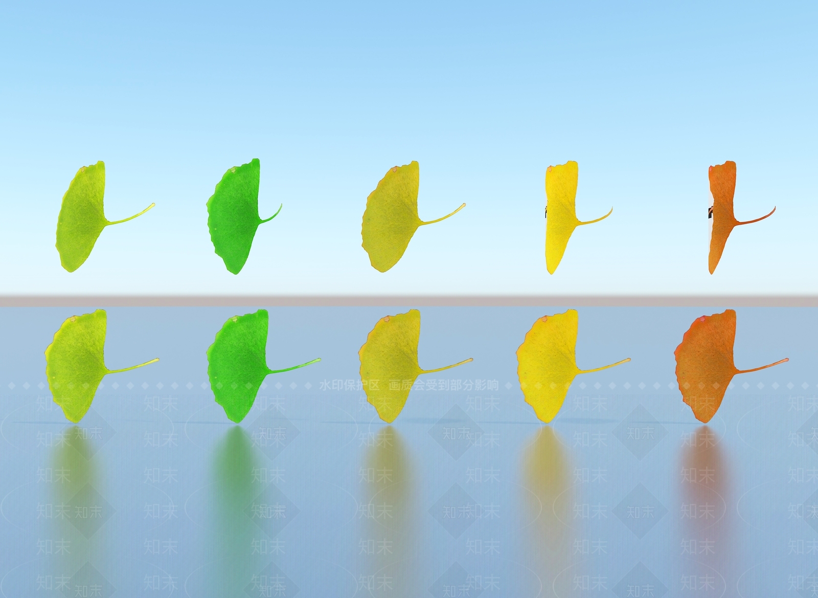 银杏叶3D模型下载【ID:1156351603】
