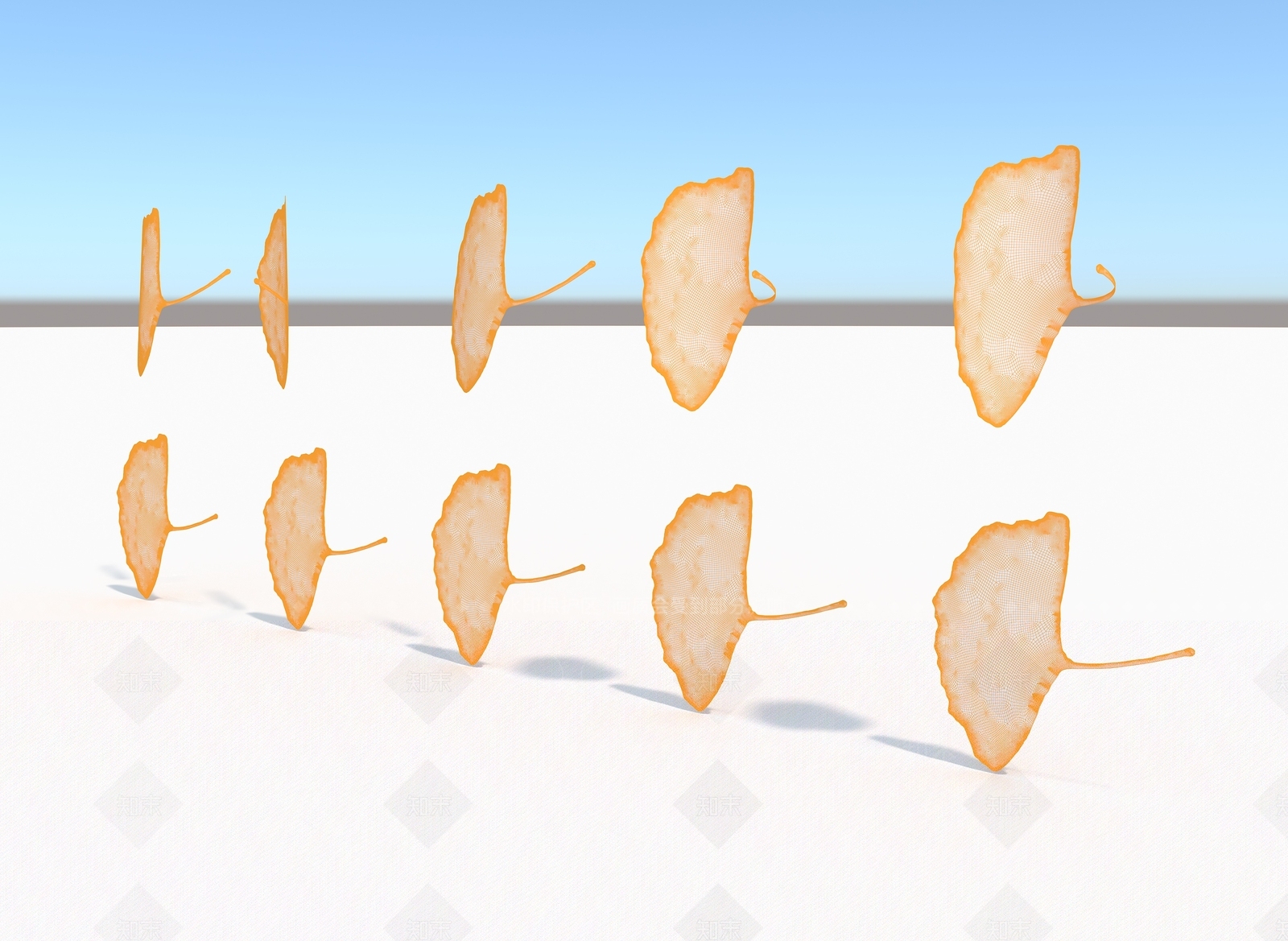 银杏叶3D模型下载【ID:1156351603】
