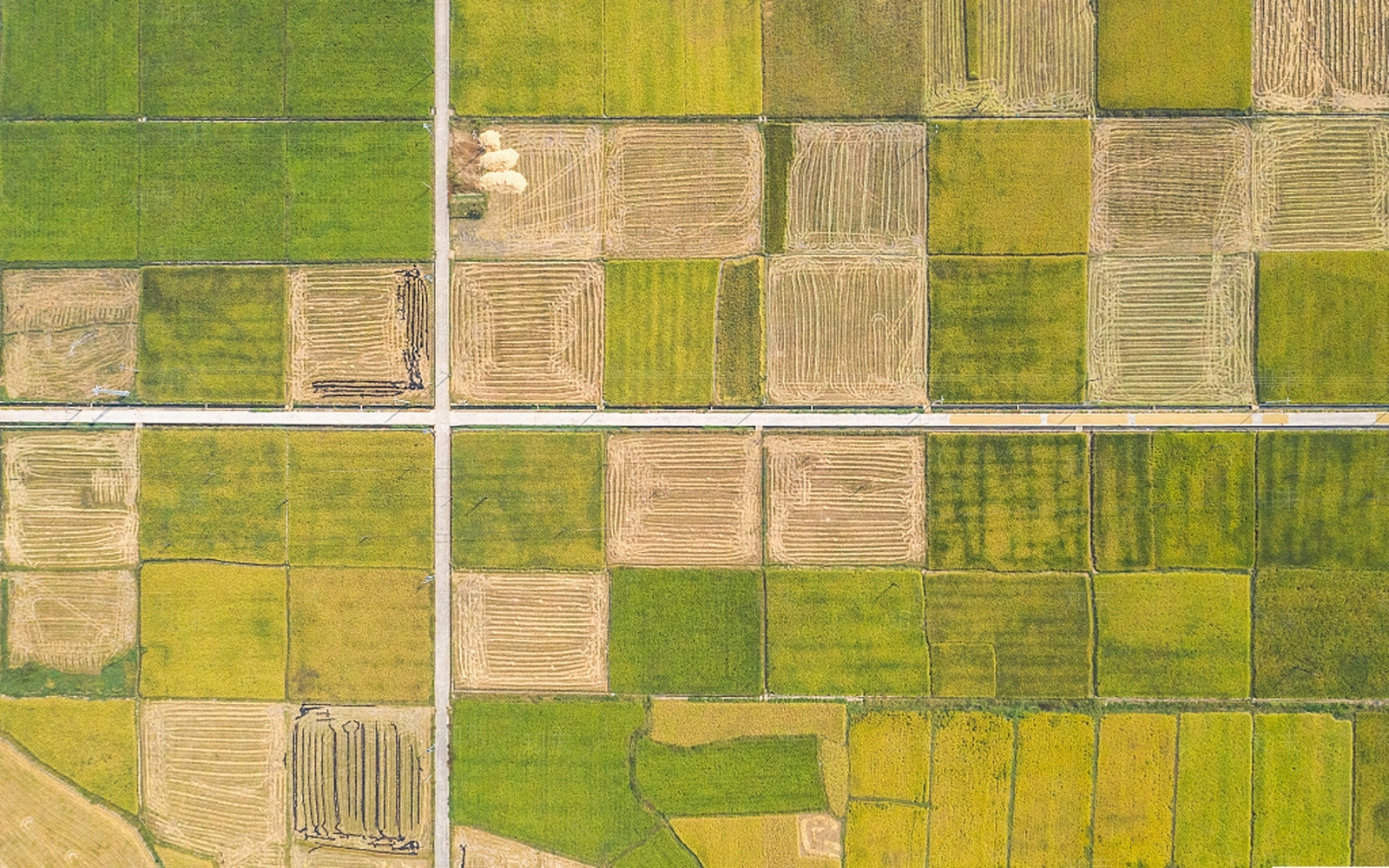 农田菜地平面贴图下载【ID:1156364029】