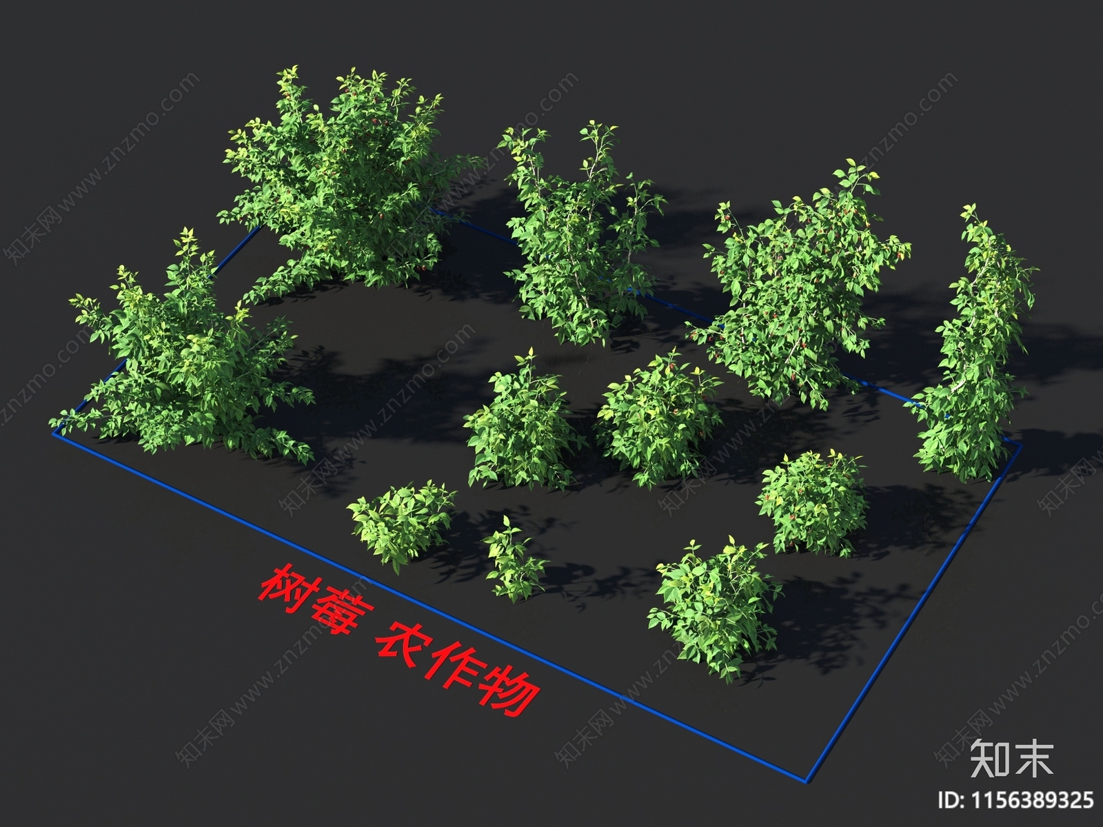 树莓3D模型下载【ID:1156389325】