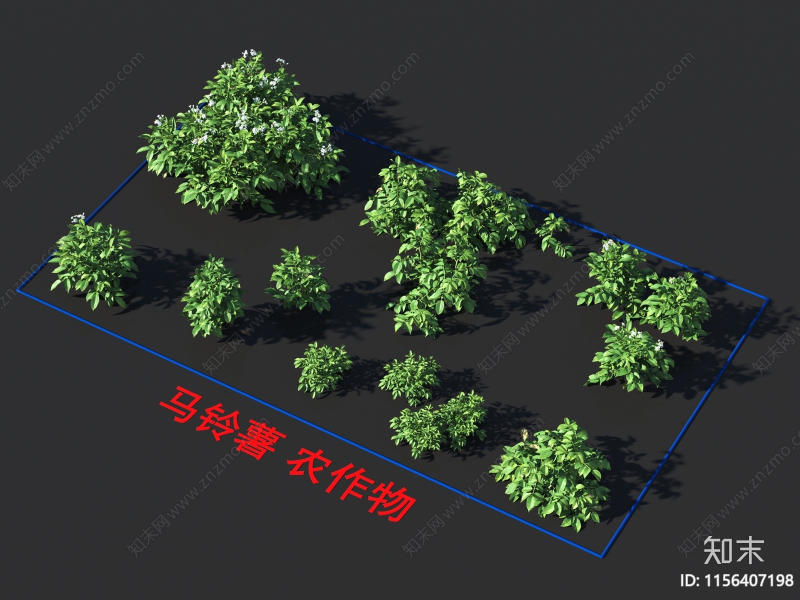 马铃薯3D模型下载【ID:1156407198】