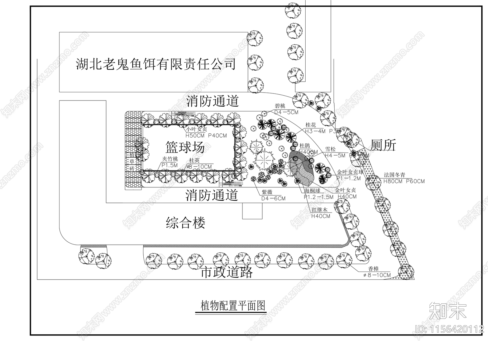 篮球场cad施工图下载【ID:1156420112】