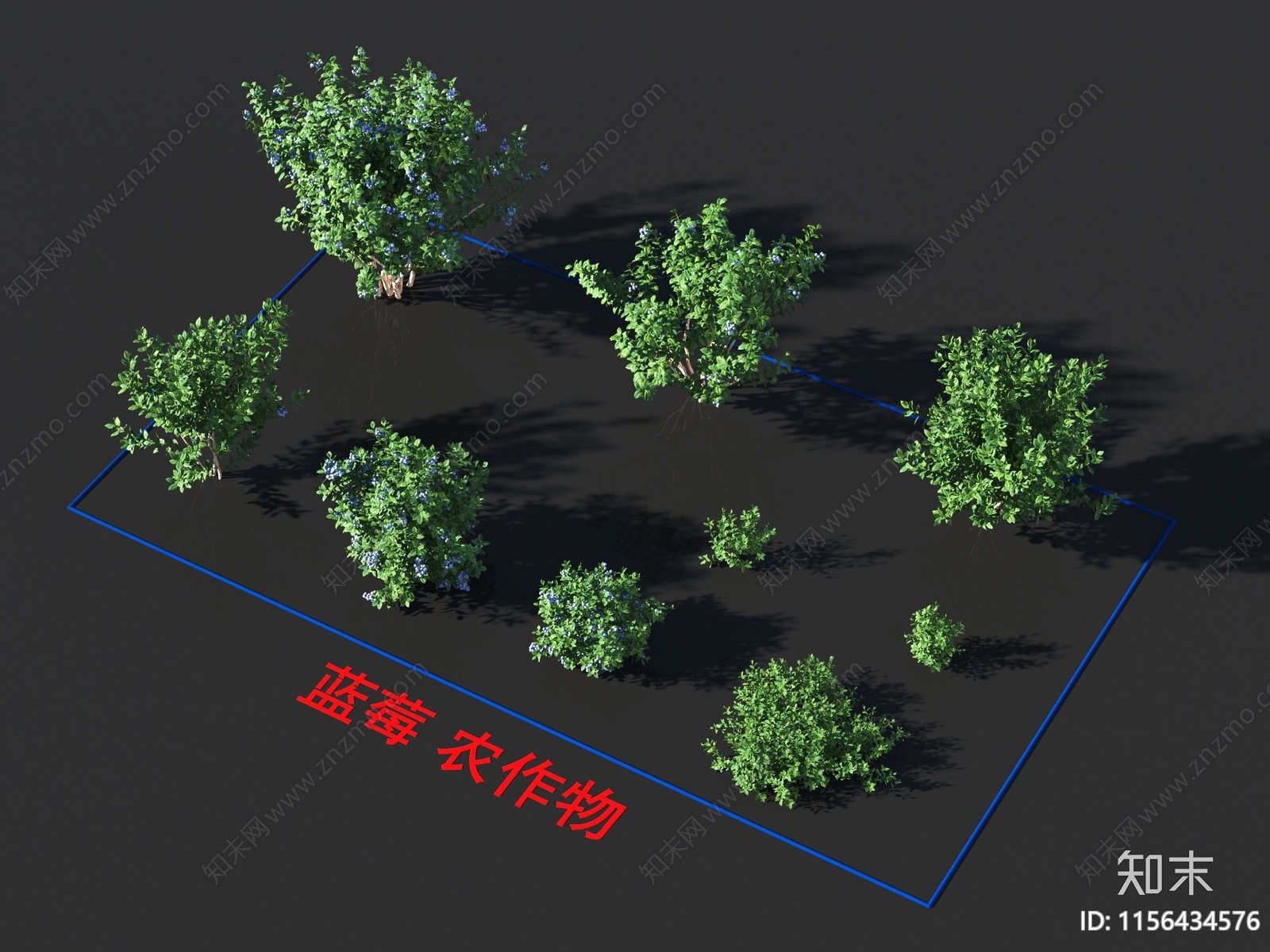 蓝莓3D模型下载【ID:1156434576】