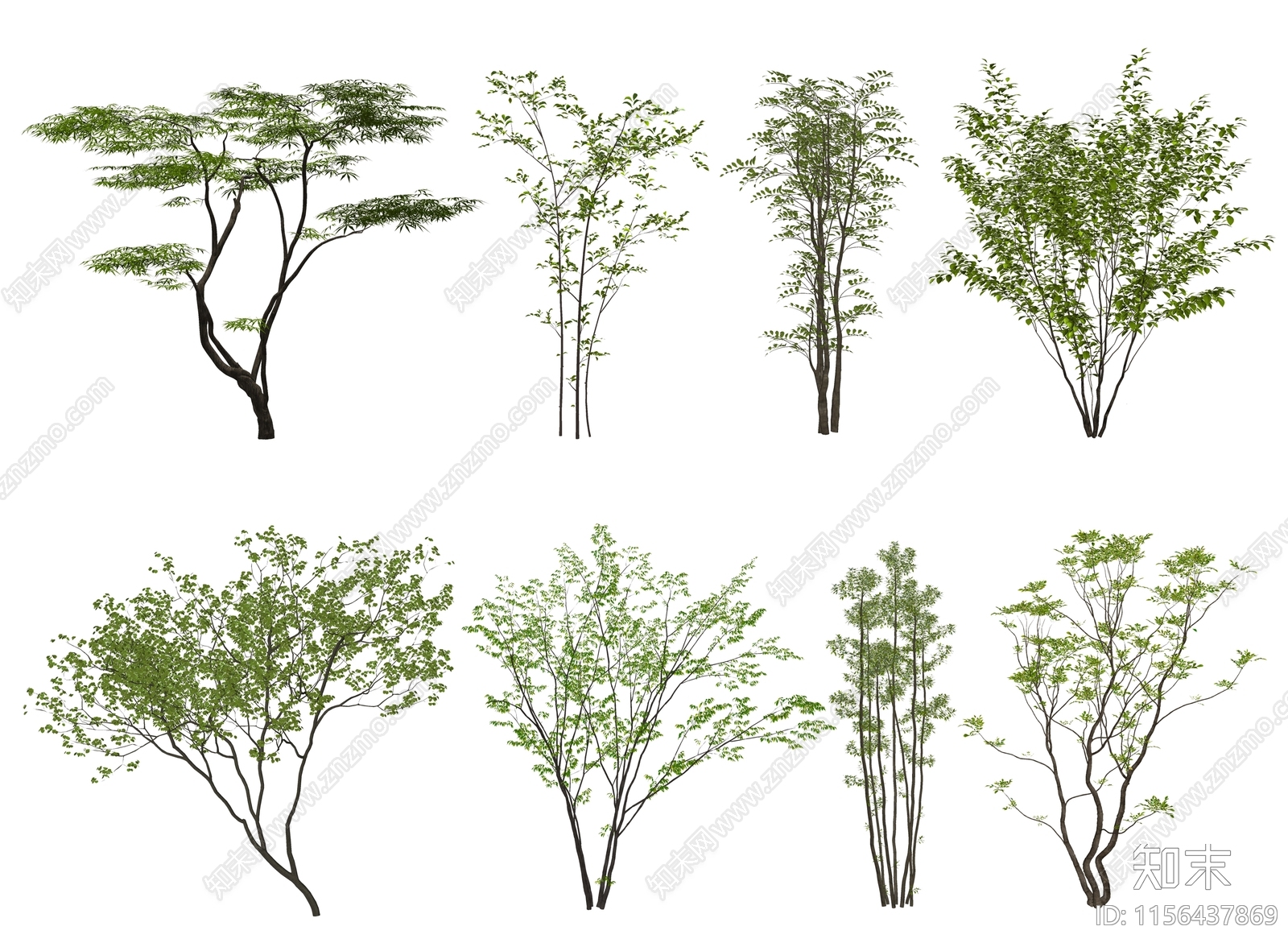 景观树SU模型下载【ID:1156437869】