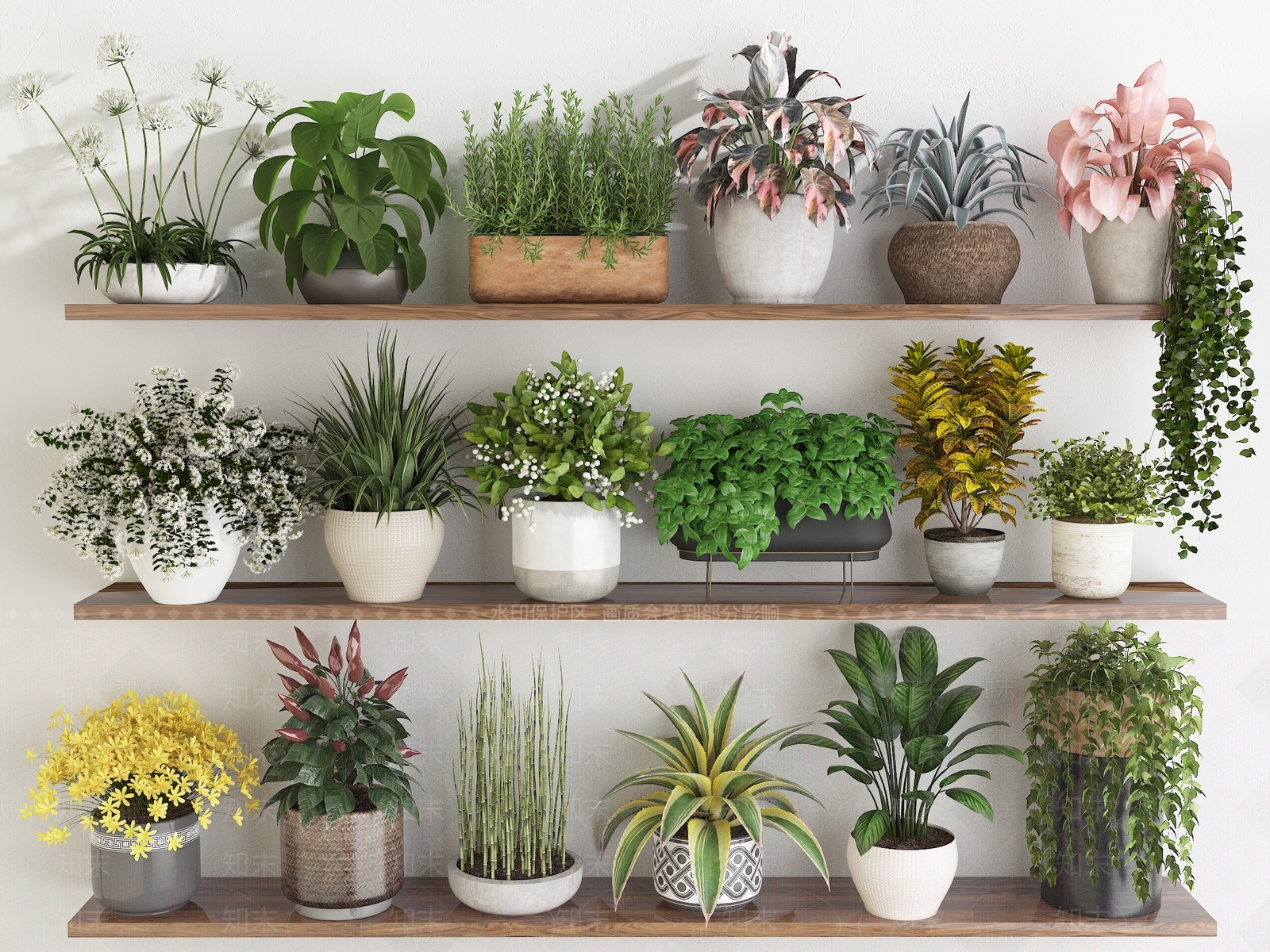 花卉盆栽3D模型下载【ID:1156473561】