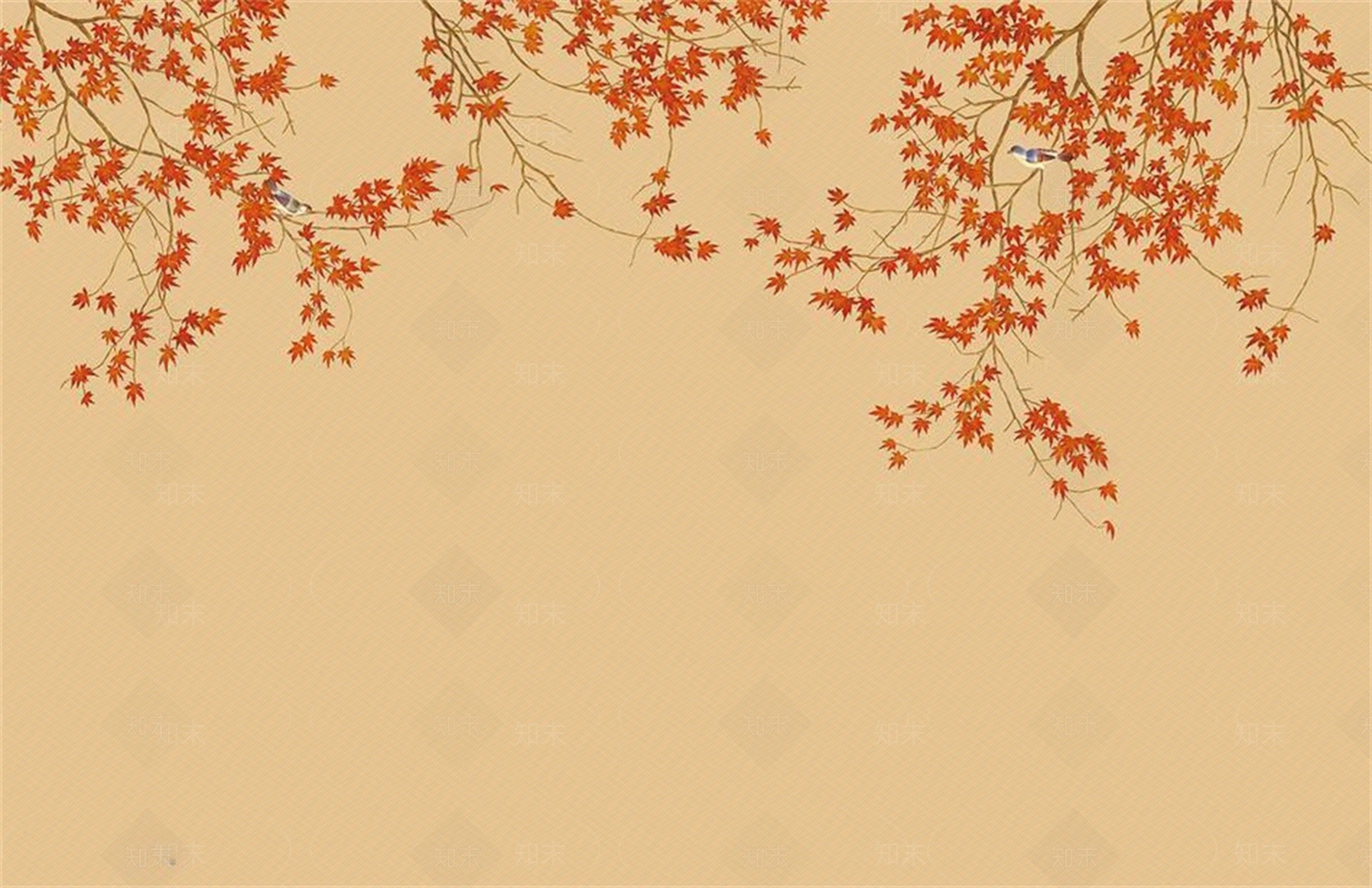 枫叶花鸟背景壁纸壁布贴图下载【ID:1156488849】