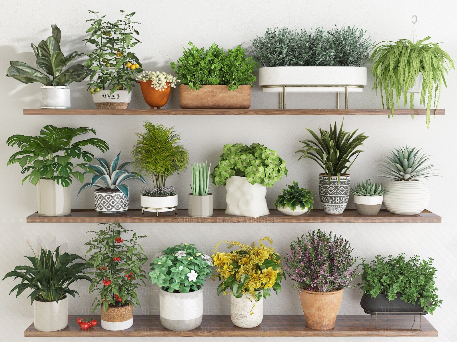 花卉盆栽3D模型下载【ID:1156500446】