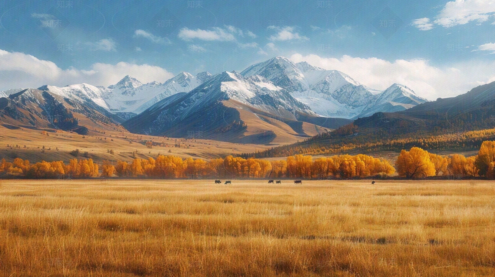 野外风景贴图下载【ID:1156531158】