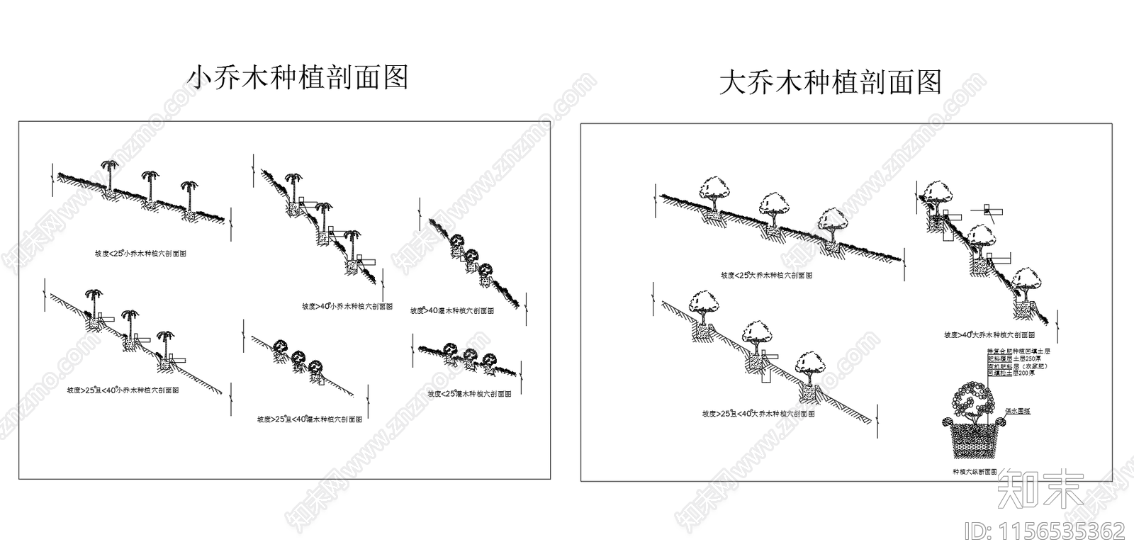 大小乔木种植剖面图cad施工图下载【ID:1156535362】