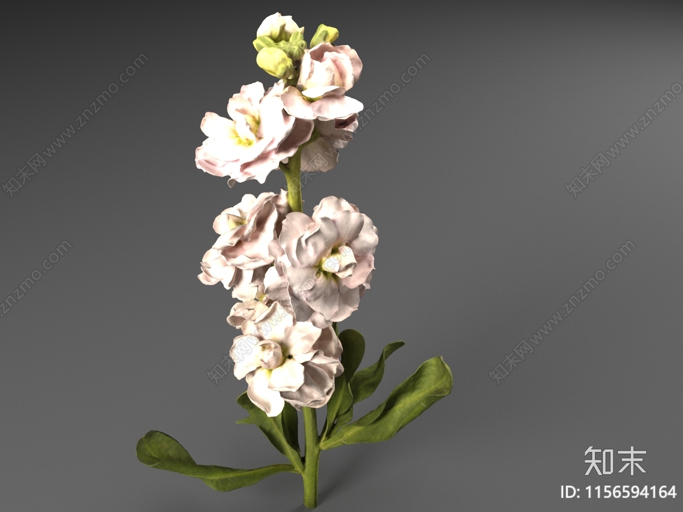 花3D模型下载【ID:1156594164】