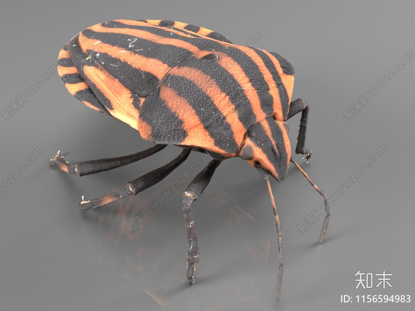 昆虫3D模型下载【ID:1156594983】