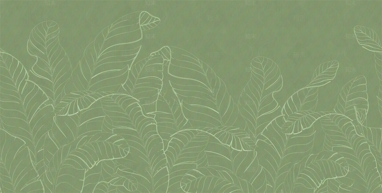 绿色树叶热带植物壁纸壁画墙布贴图下载【ID:1156596805】