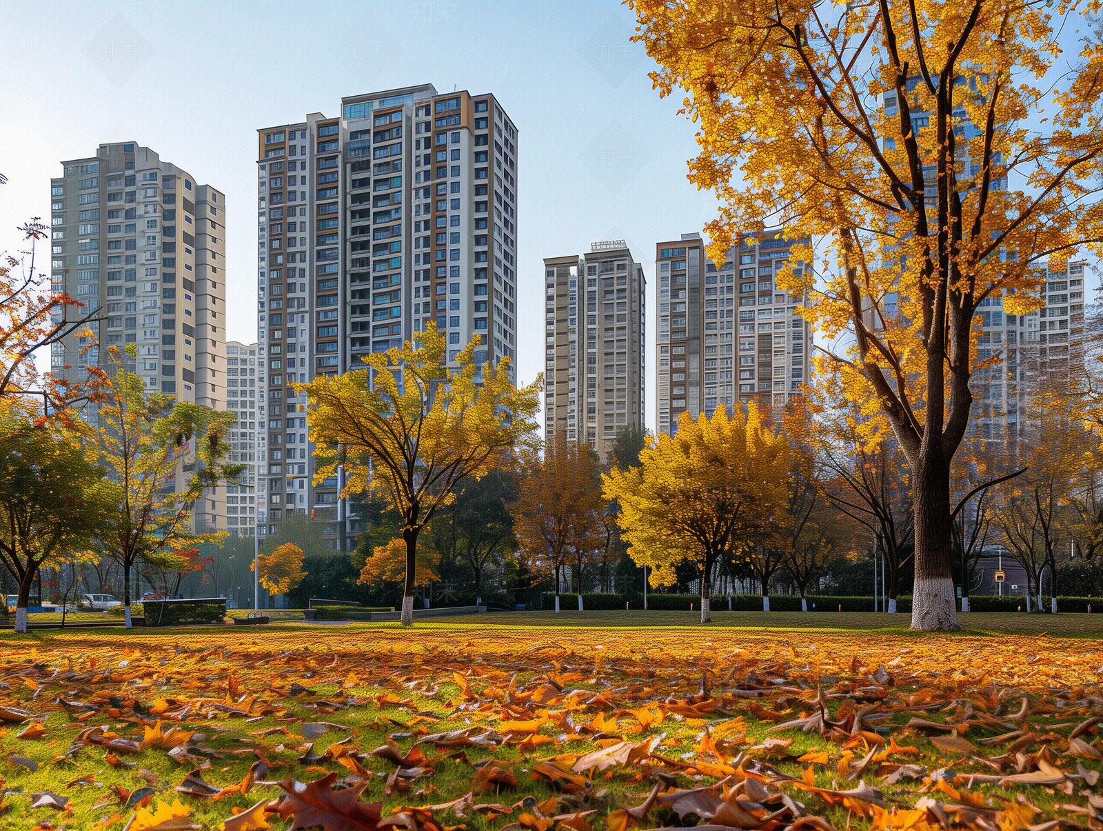 白天小区秋天外景贴图下载【ID:1156605967】