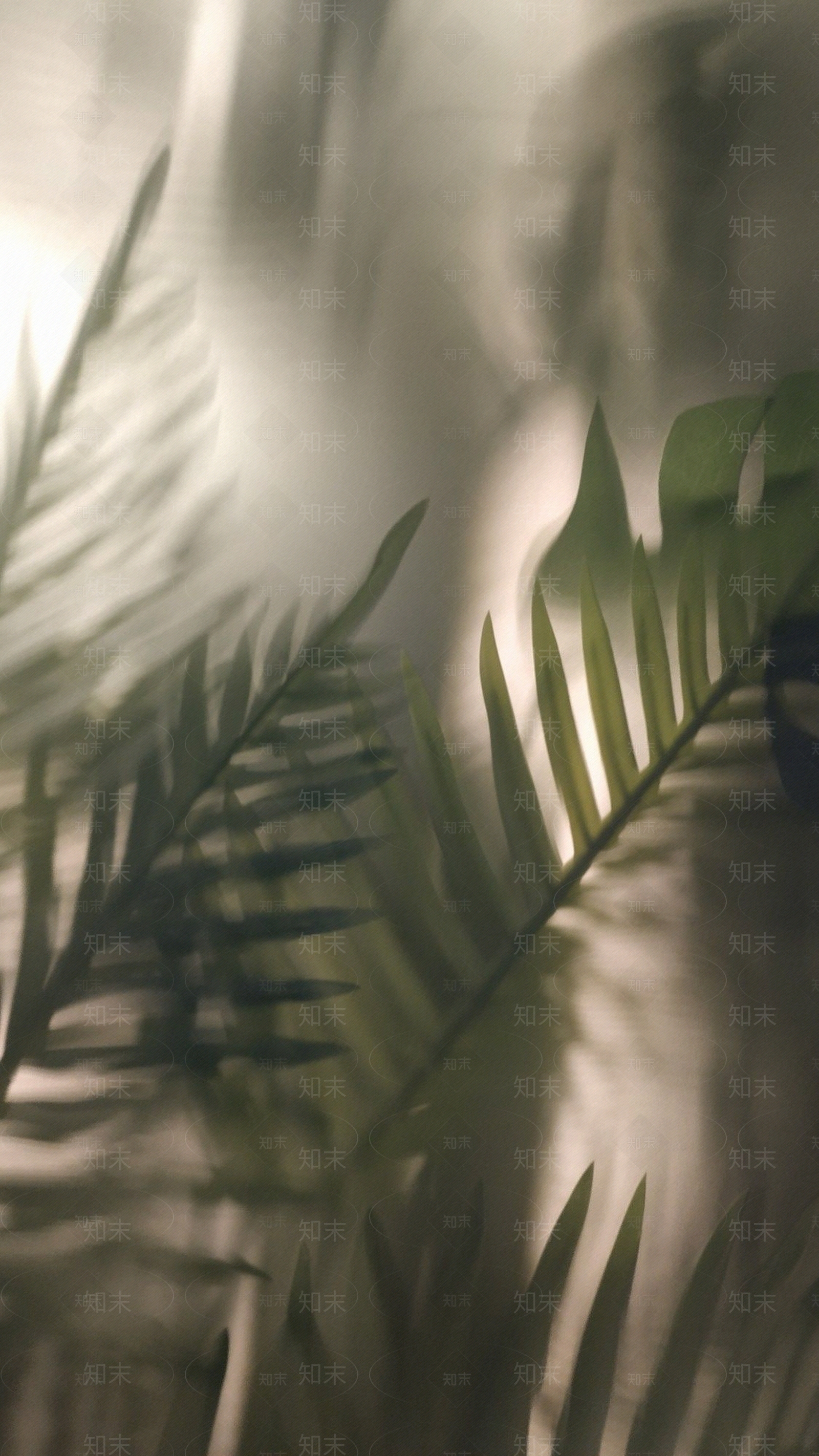 玻璃绿植背景氛围贴图下载【ID:1156612957】