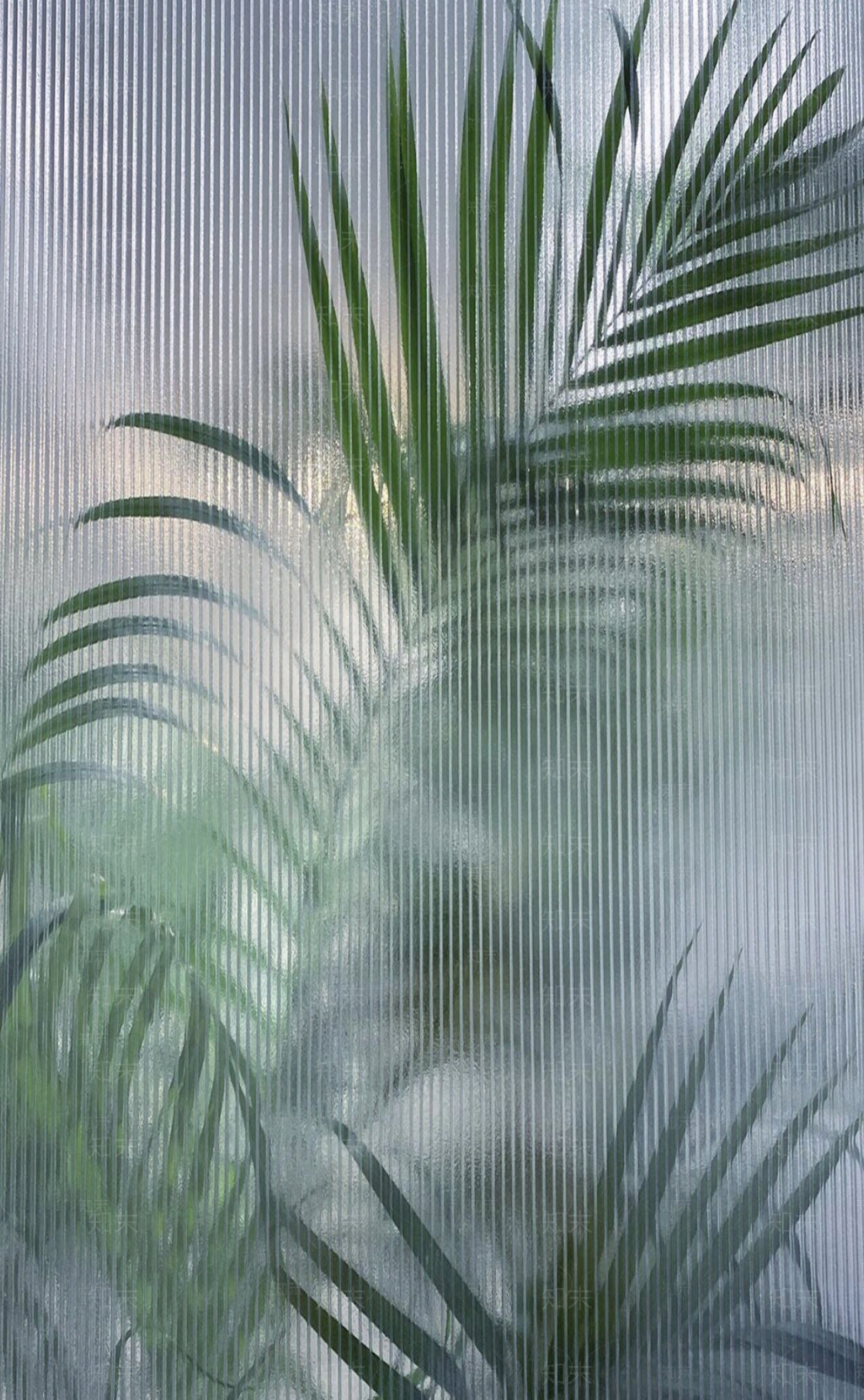 玻璃绿植背景氛围贴图下载【ID:1156613216】