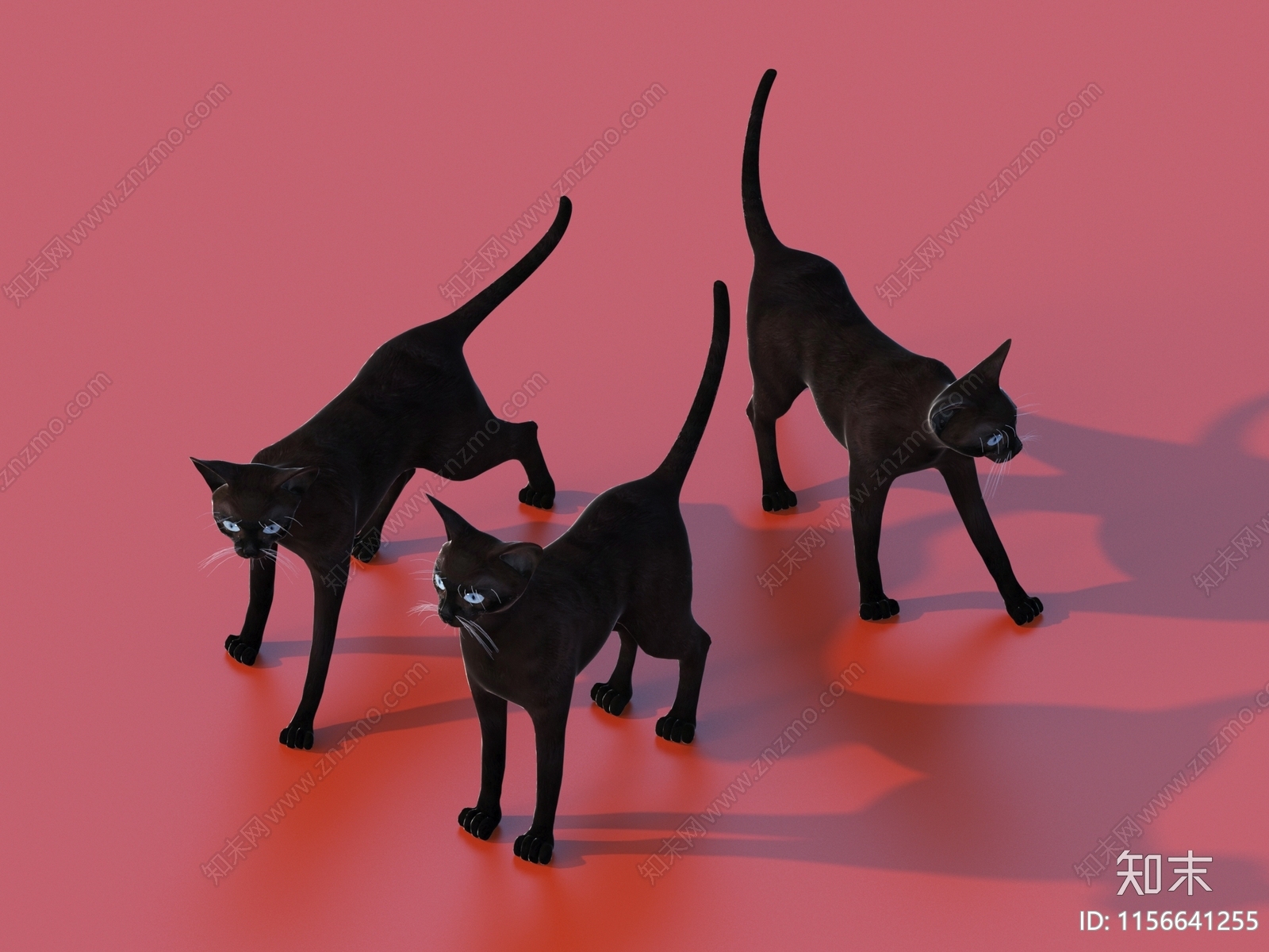 猫3D模型下载【ID:1156641255】