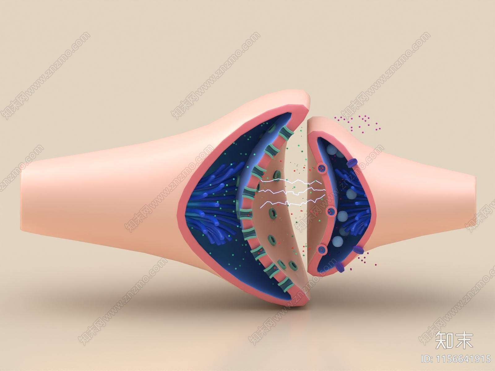 医疗器材3D模型下载【ID:1156641915】