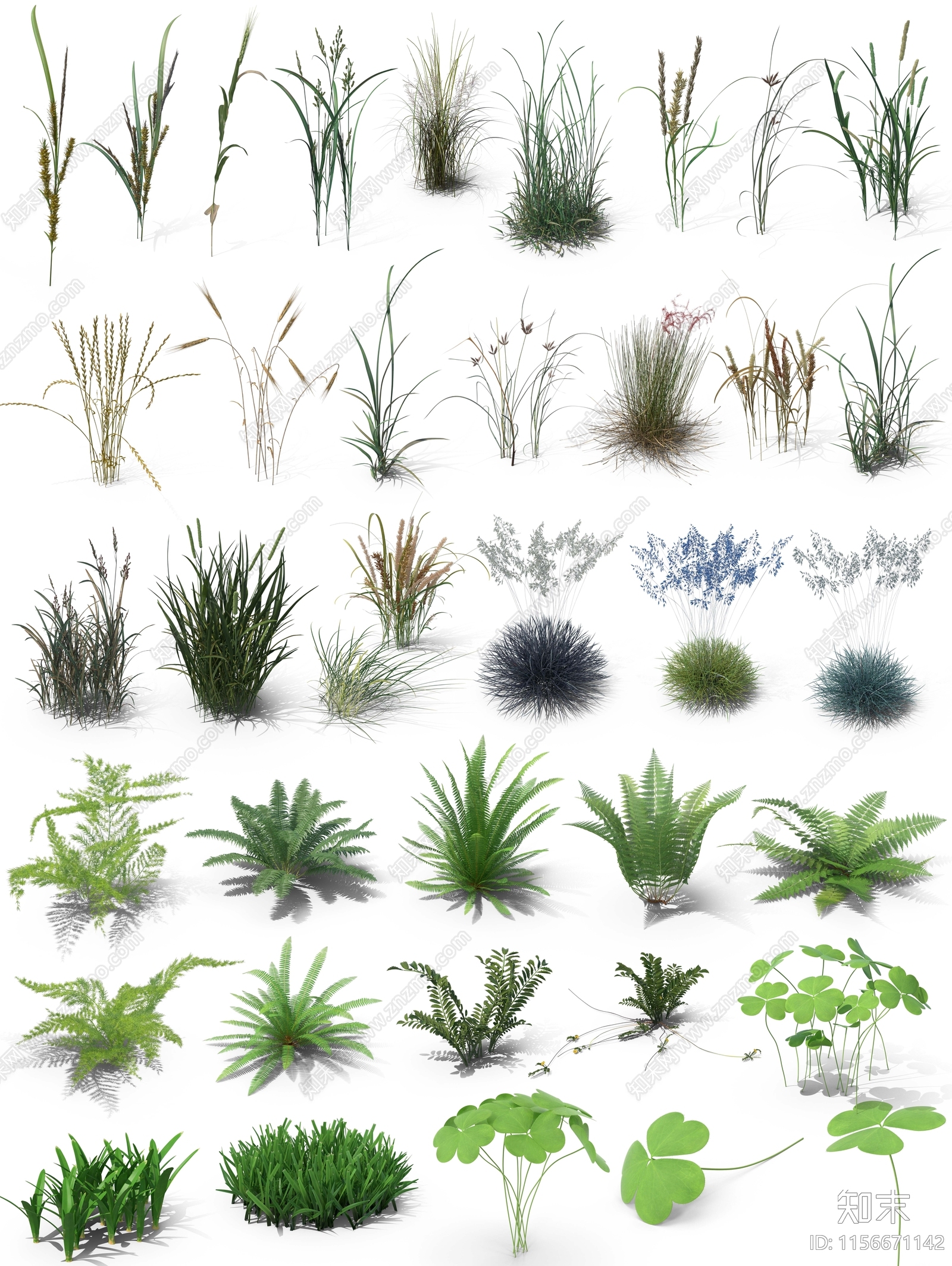 草花观赏草psd免抠植物下载【ID:1156671142】undefined