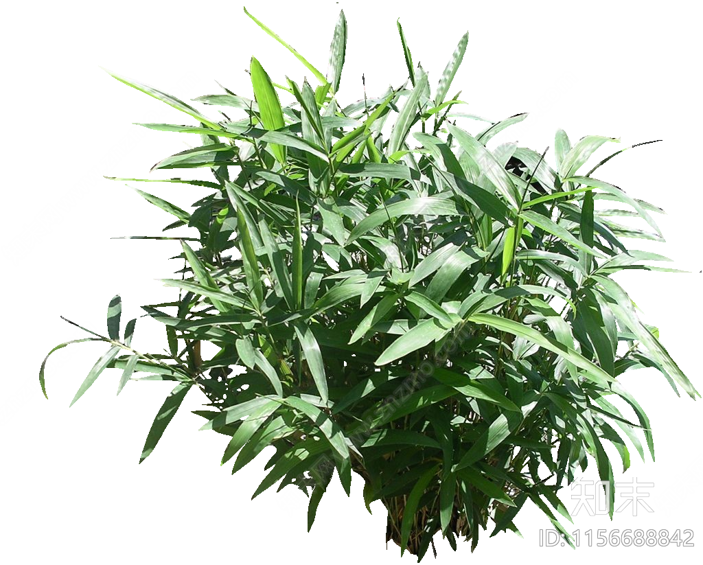植物设计素材精品下载_知末网