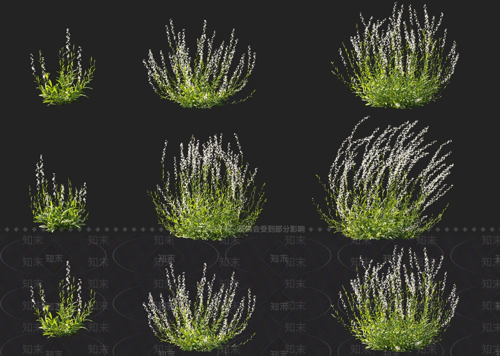 现代山桃草千鸟花白色花卉组合3D模型下载【ID:1156718360】