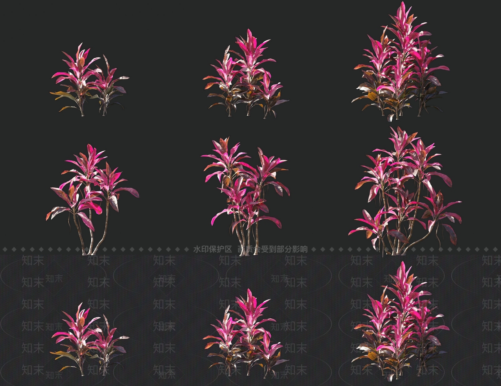 现代朱蕉三色铁灌木花草植物组合3D模型下载【ID:1156719320】