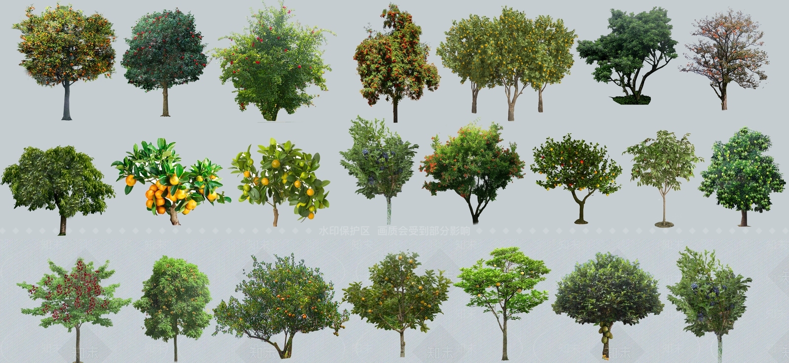 2D景观树SU模型下载【ID:1156745865】