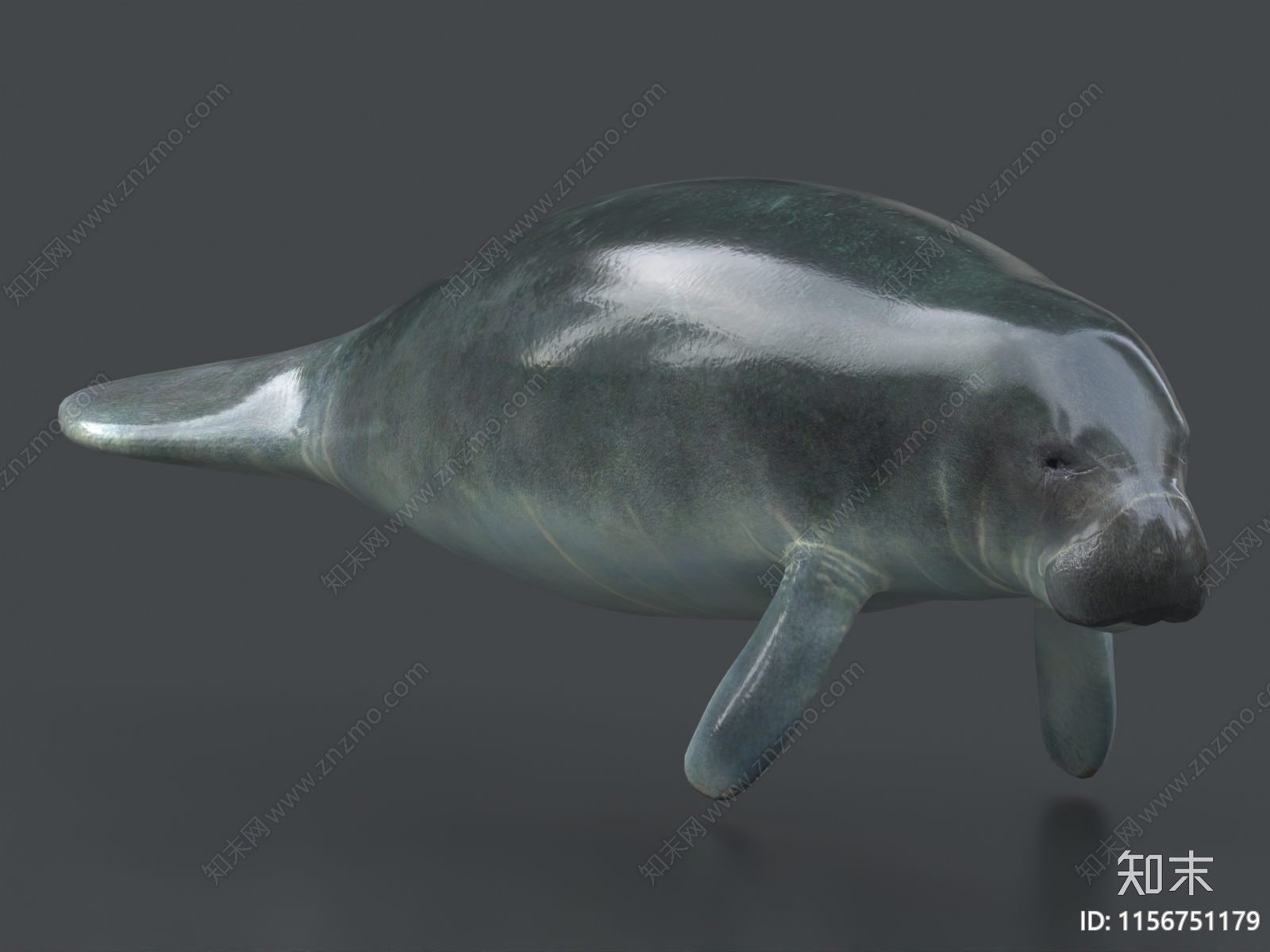 海牛3D模型下载【ID:1156751179】