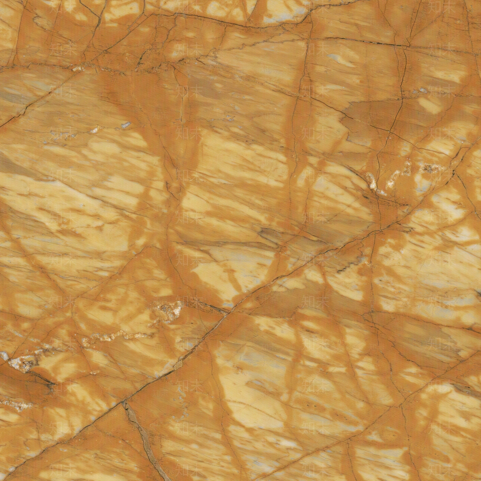 锡安娜金大理石贴图下载【ID:1156760060】