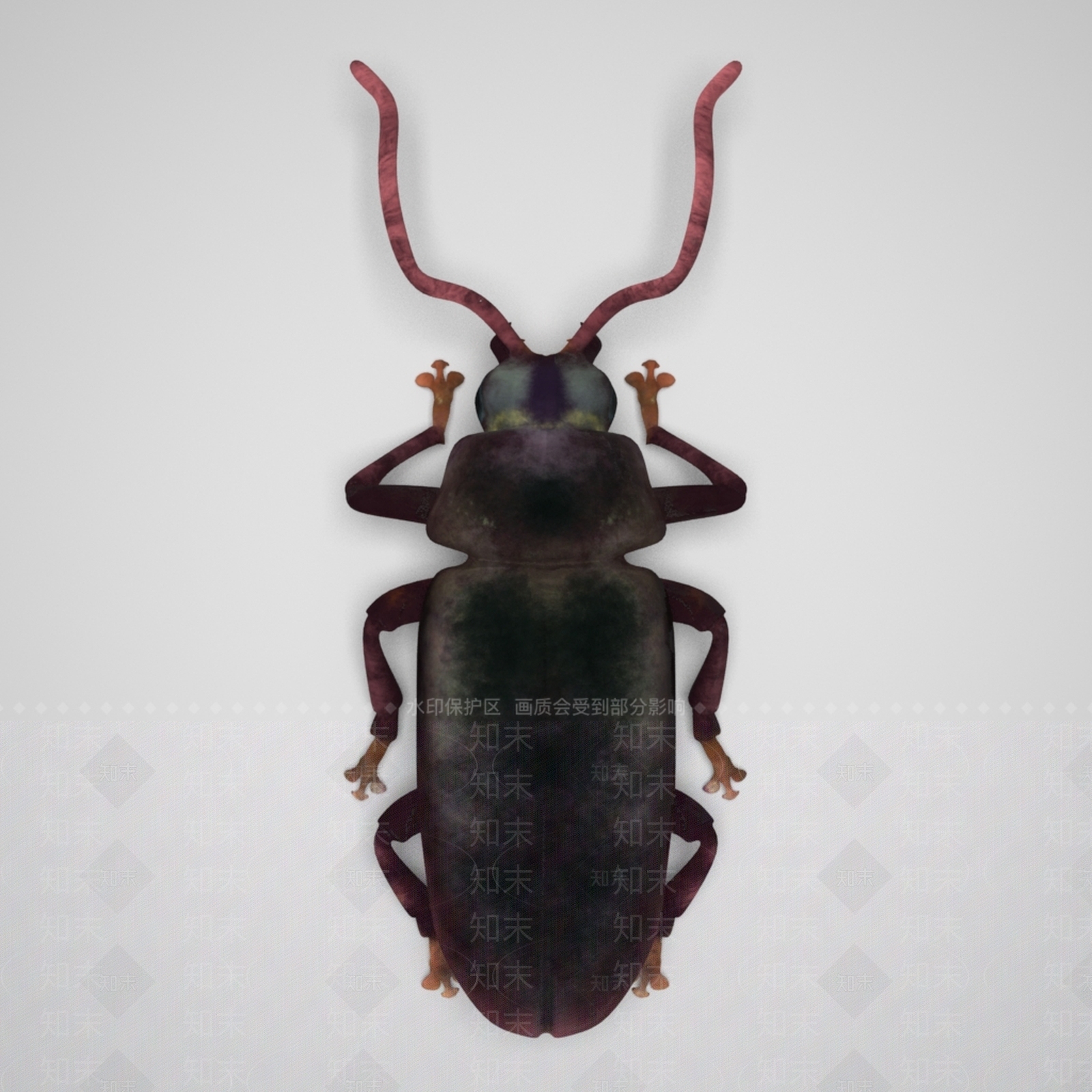 现代蟑螂3D模型下载【ID:1156780800】