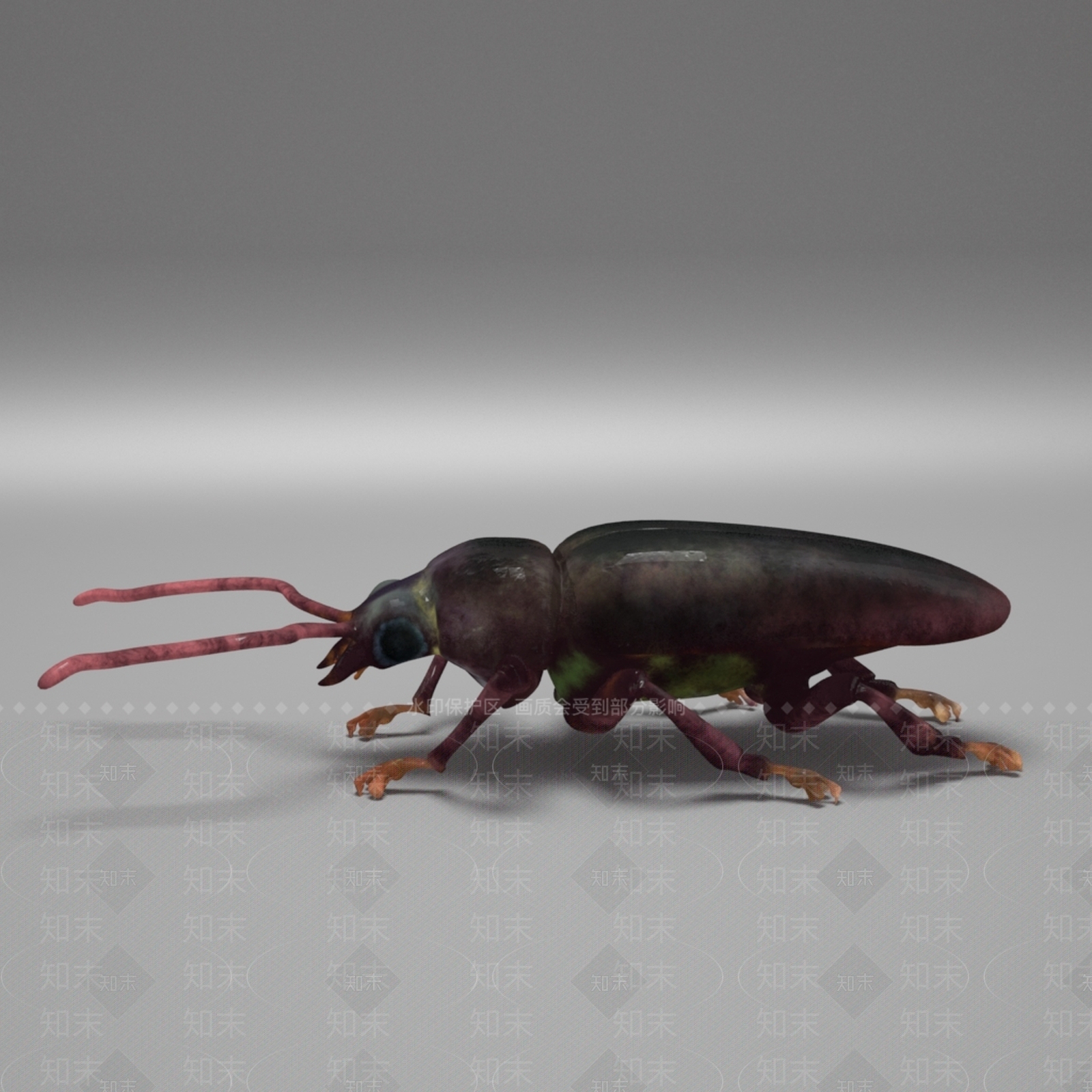 现代蟑螂3D模型下载【ID:1156780800】