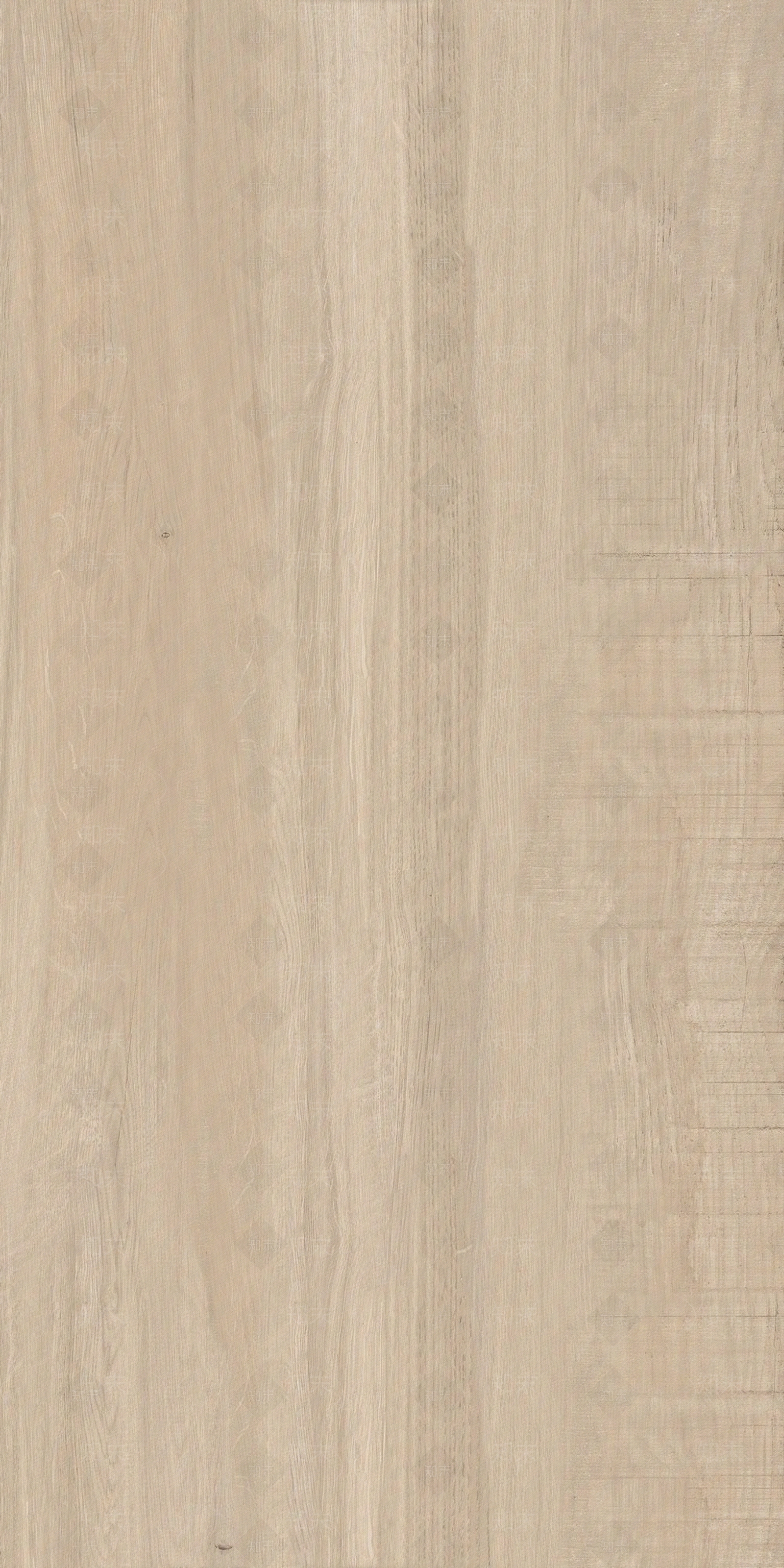 浅色原木纹贴图下载【ID:1156794297】