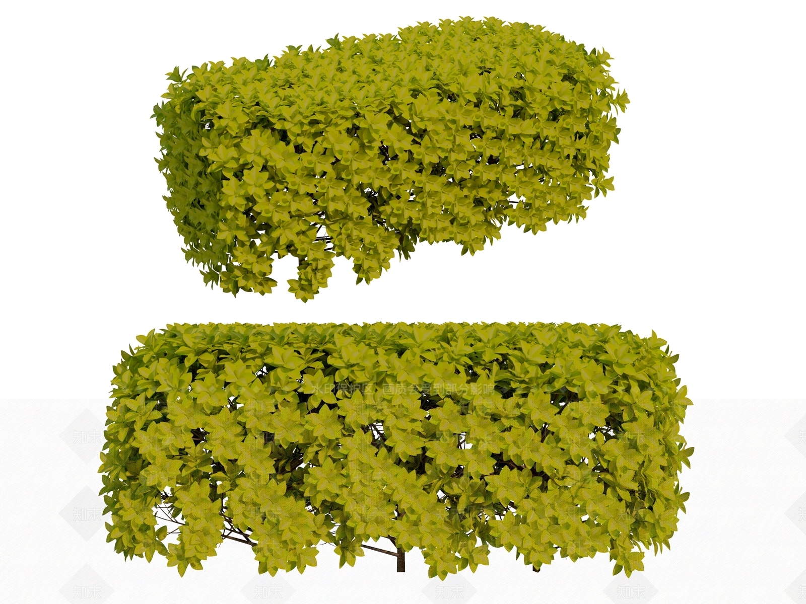 黄金榕绿篱3D模型下载【ID:1156802757】